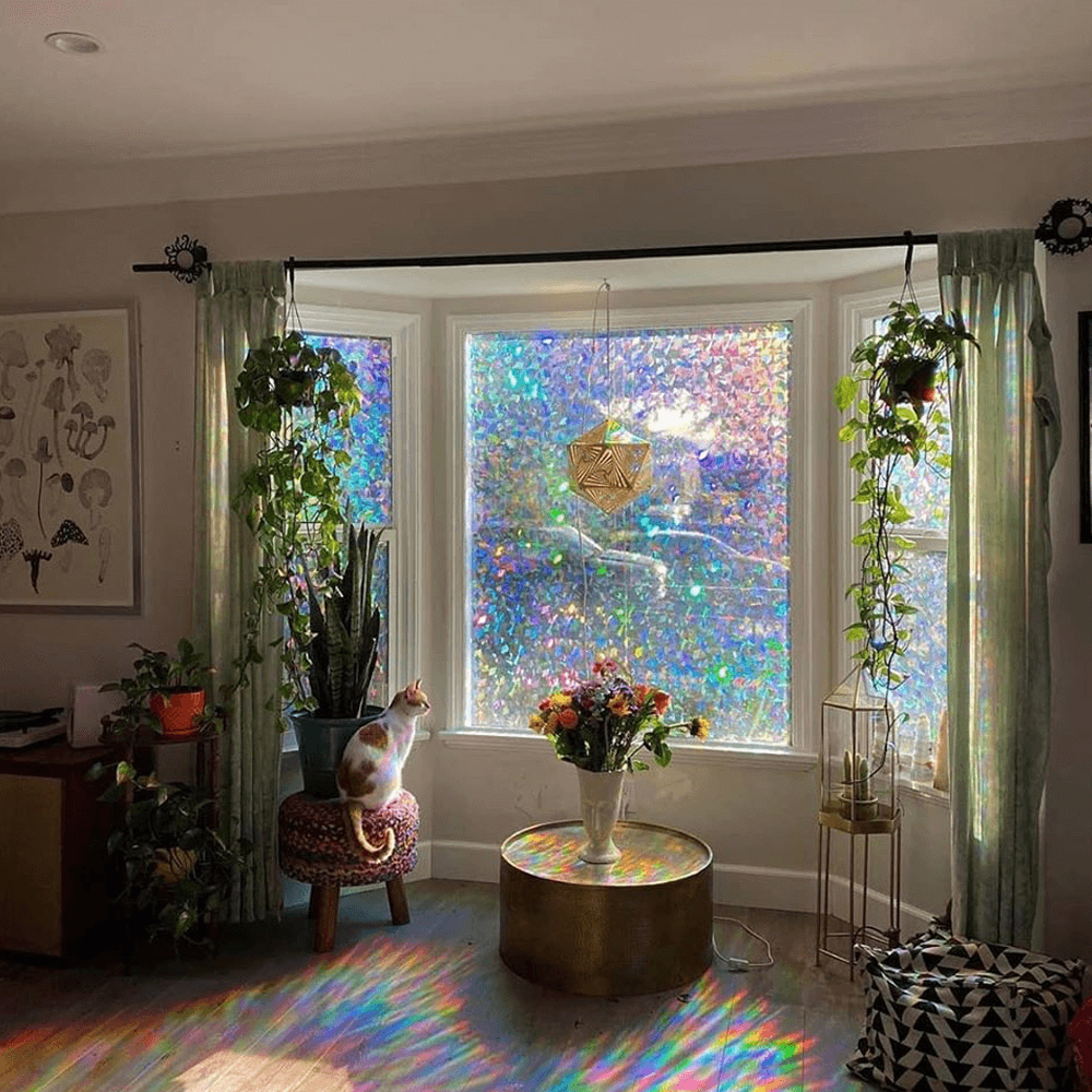 3drainbowwindowfilm1.png