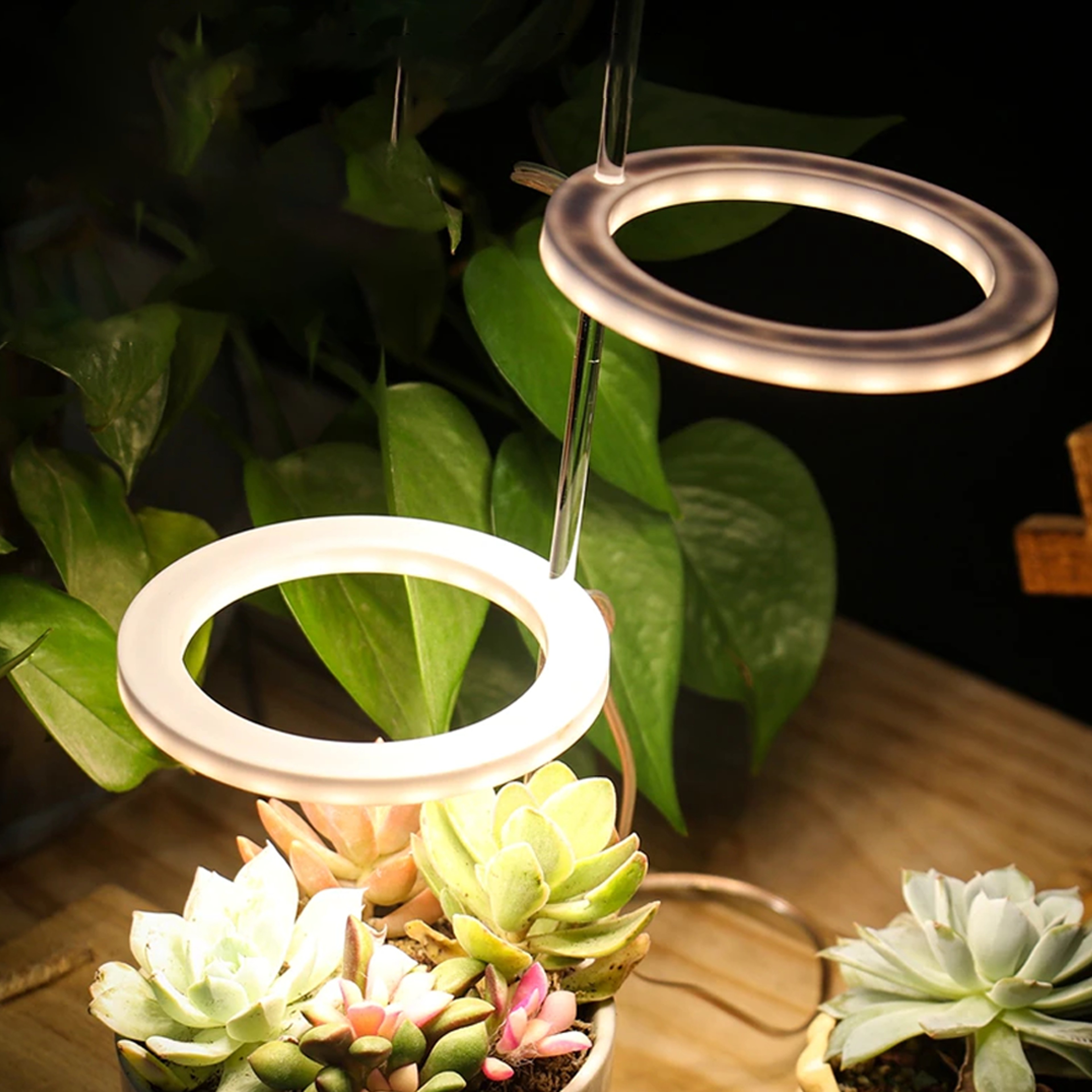 ringledplantgrowlight6.png