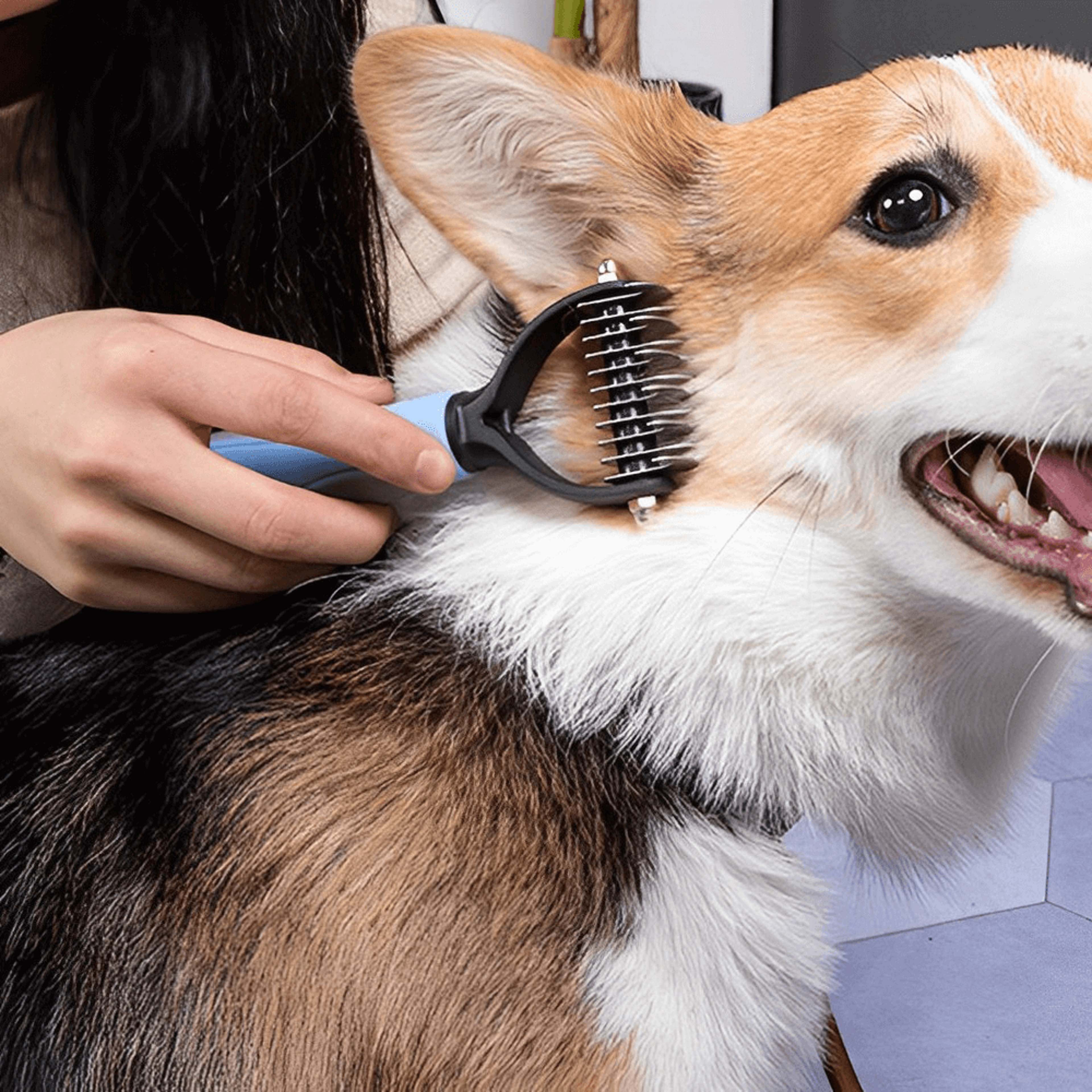 demattingcombfordogsblue.png
