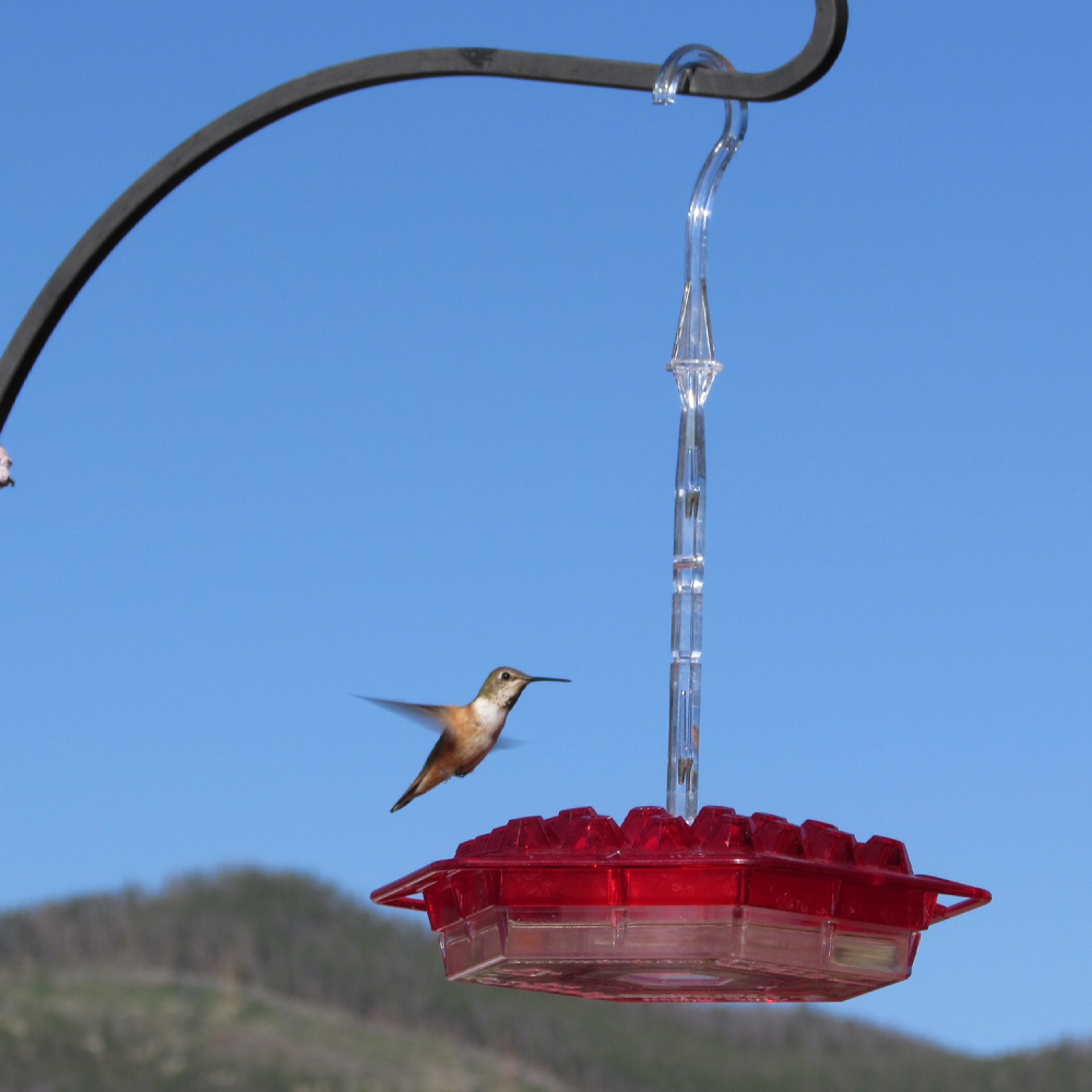 Marys Sweety Hummingbird Feeder