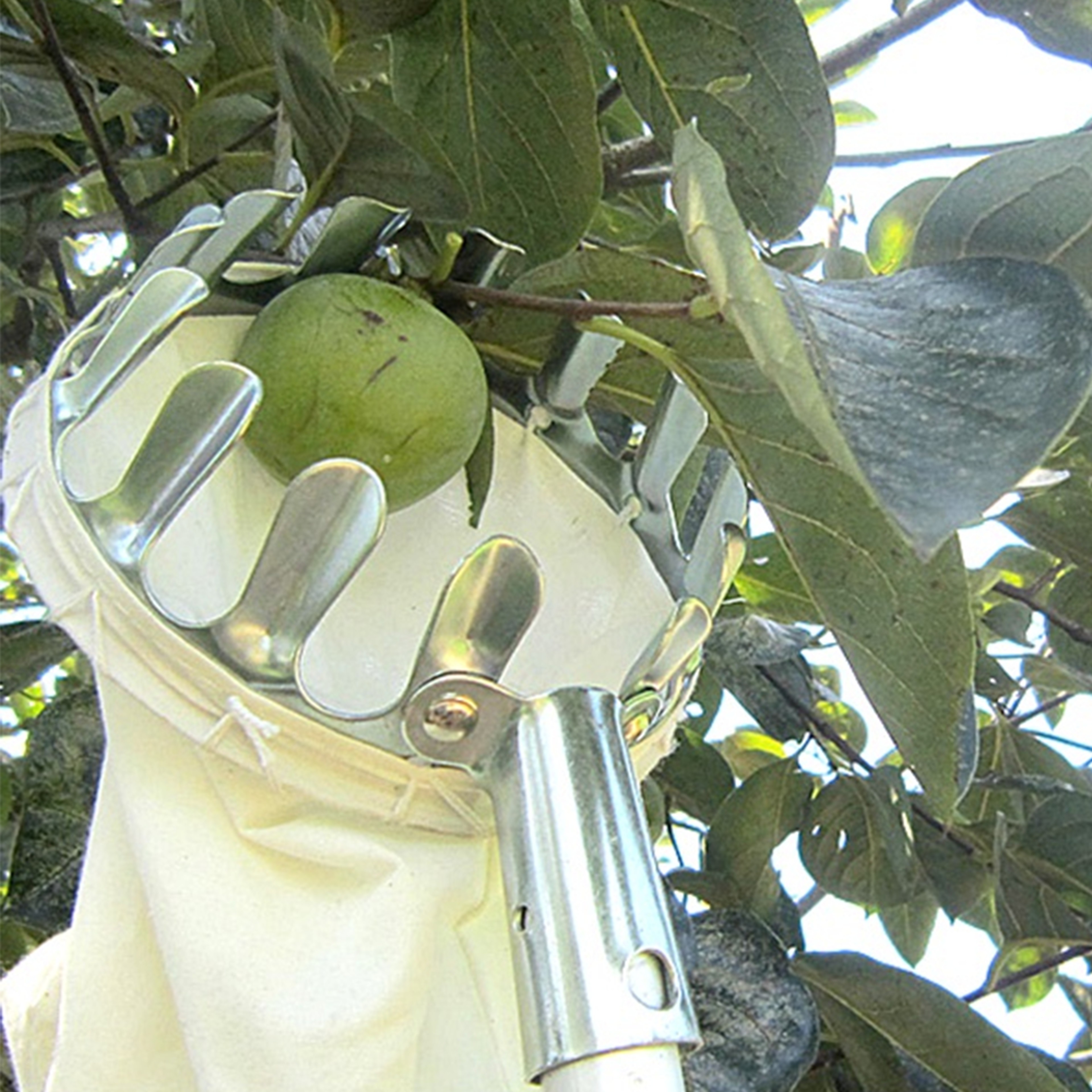 fruitpickerheadbasket5.png
