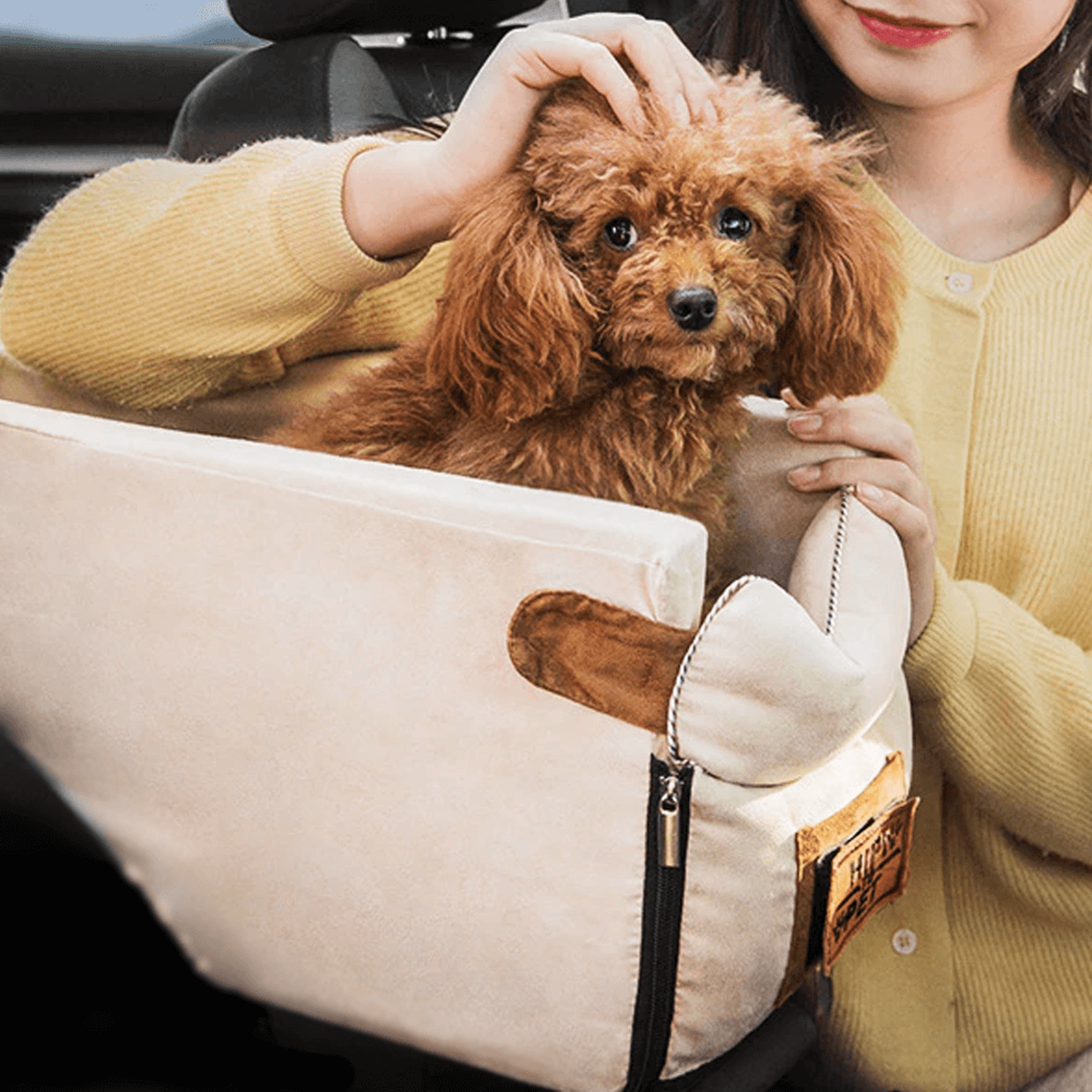 carseatforsmalldogbiege.png
