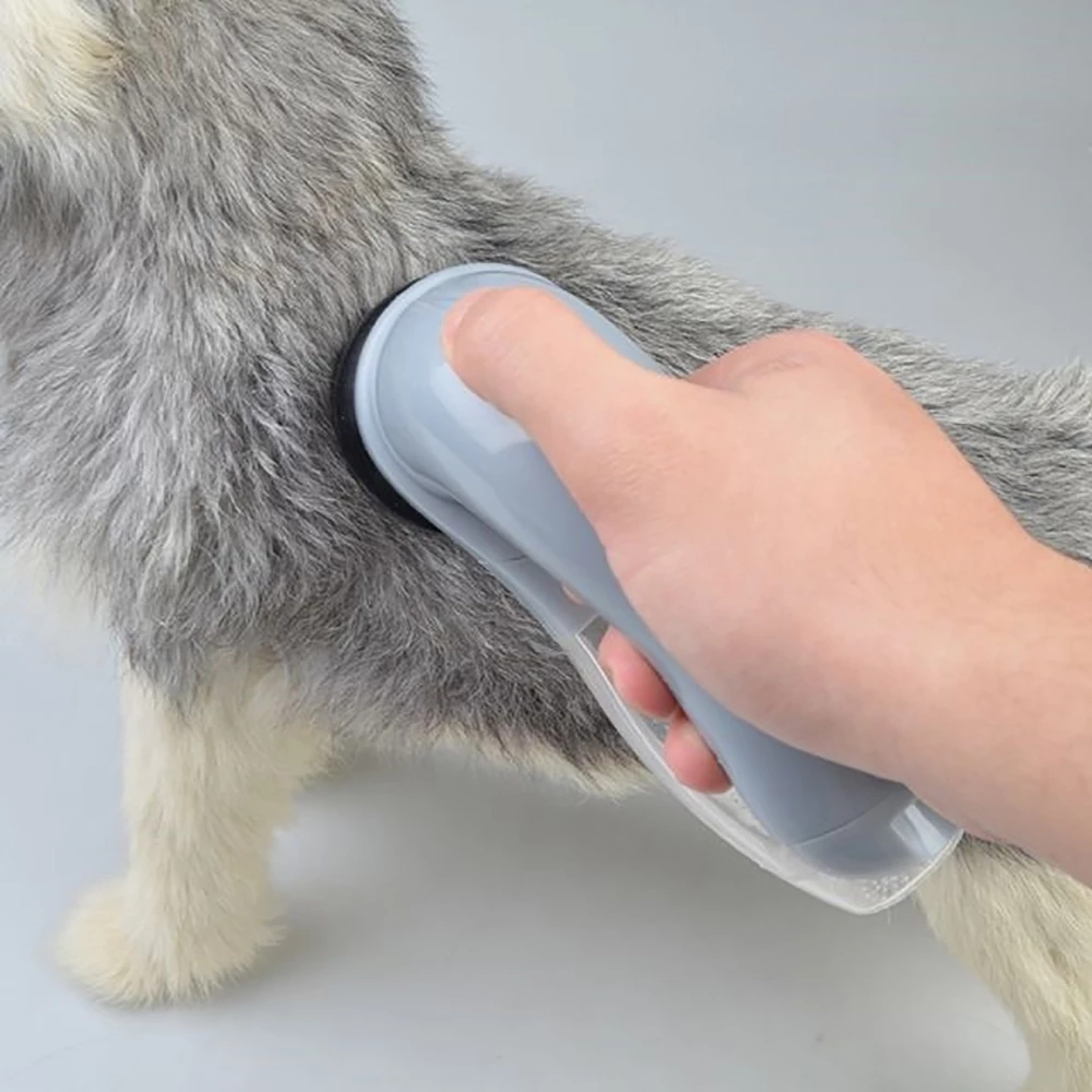 handheldvacuumforpethair3.png