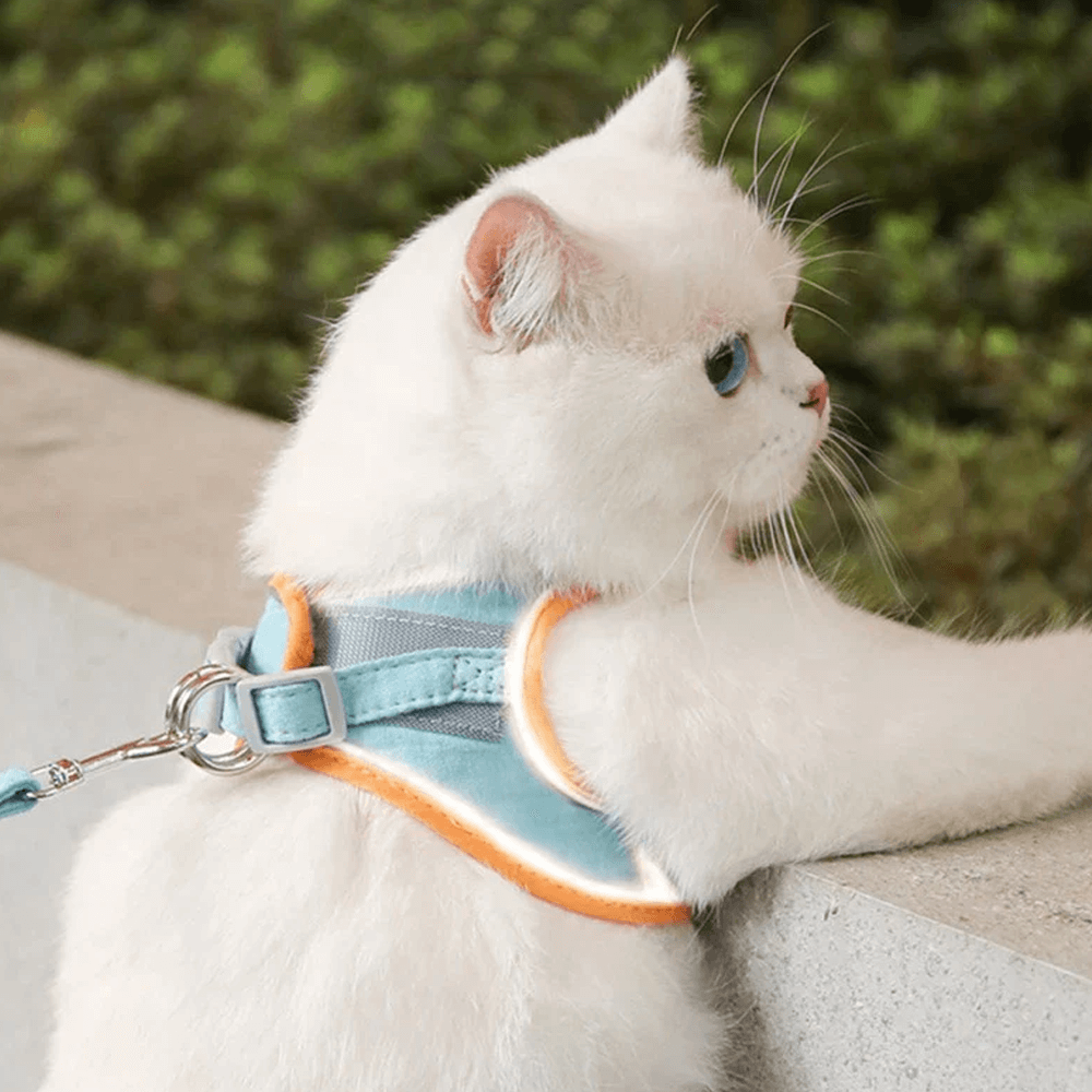 catluminousharnessandleashset4.png