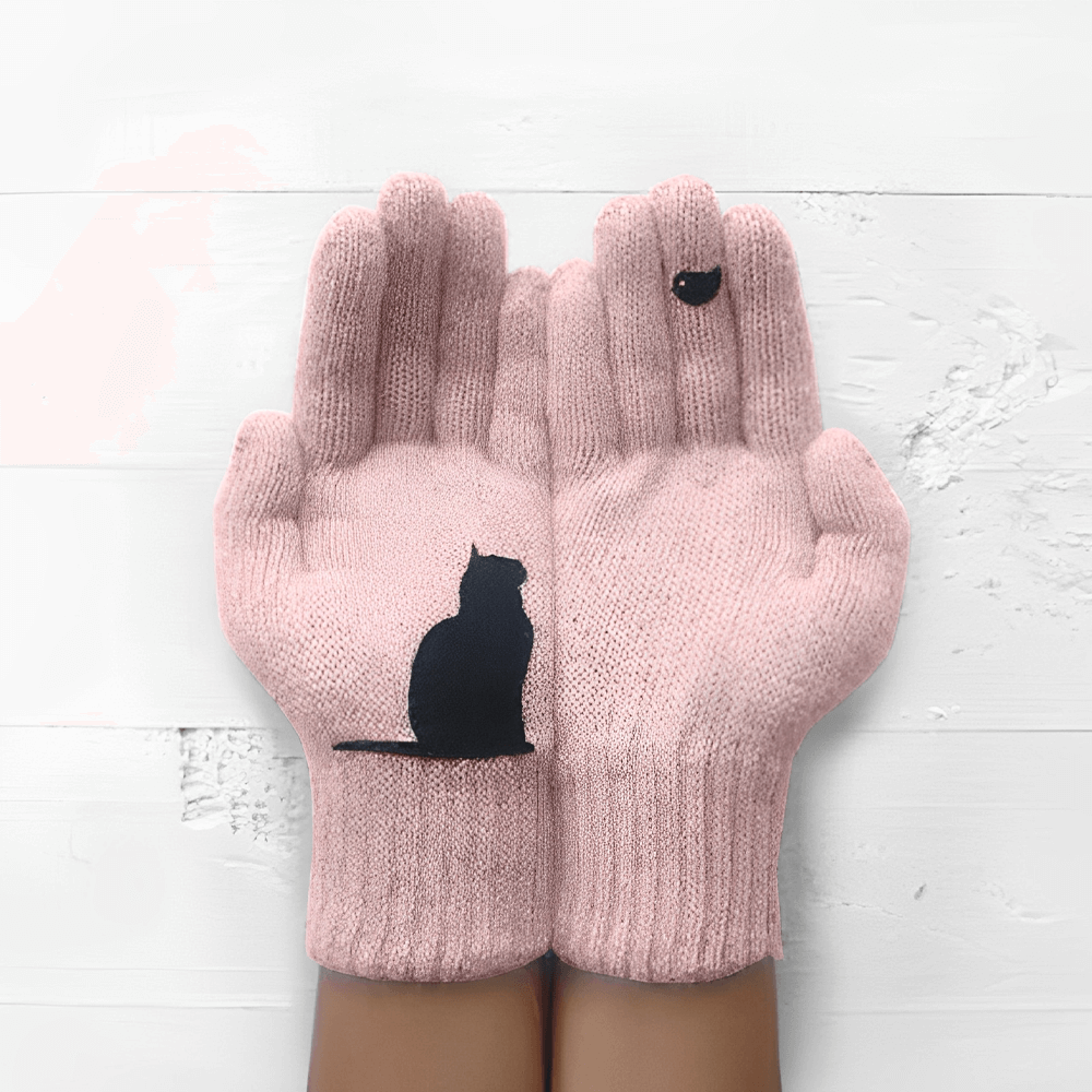 catfancottonglovespink.png