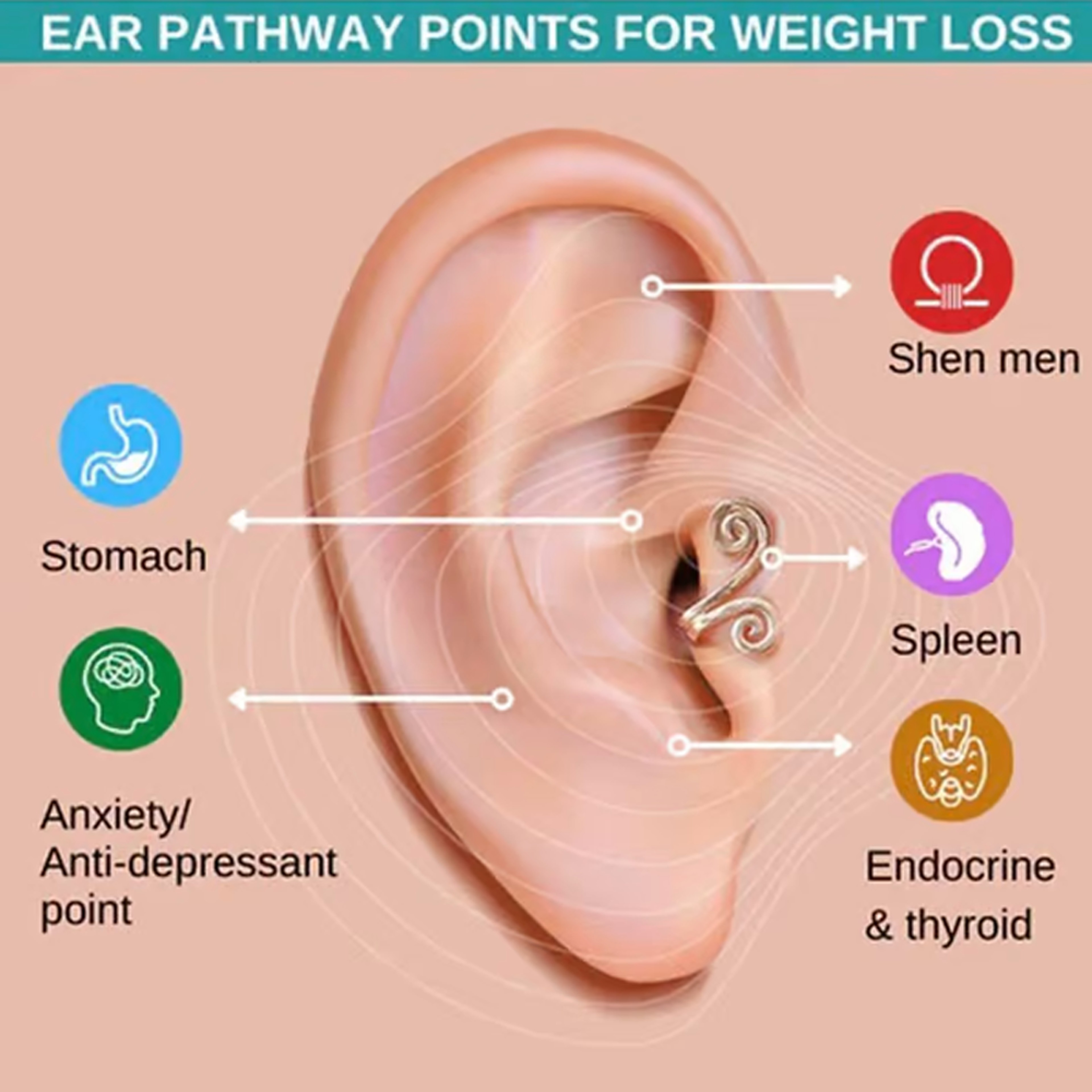 Acupunctureinspired earrings for effective weight loss