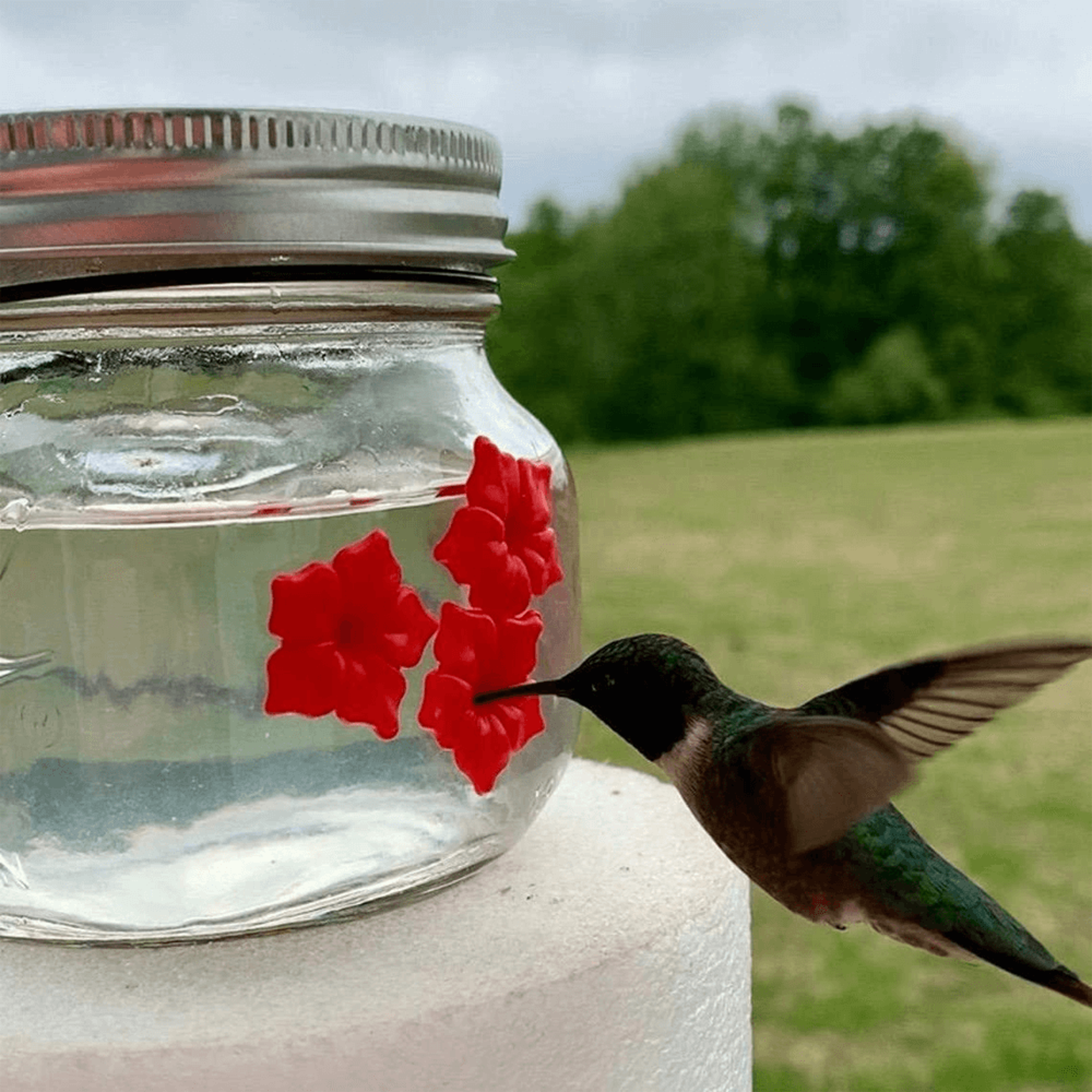 beautifulmasonjarhummingbirdfeederwthreeports3.png