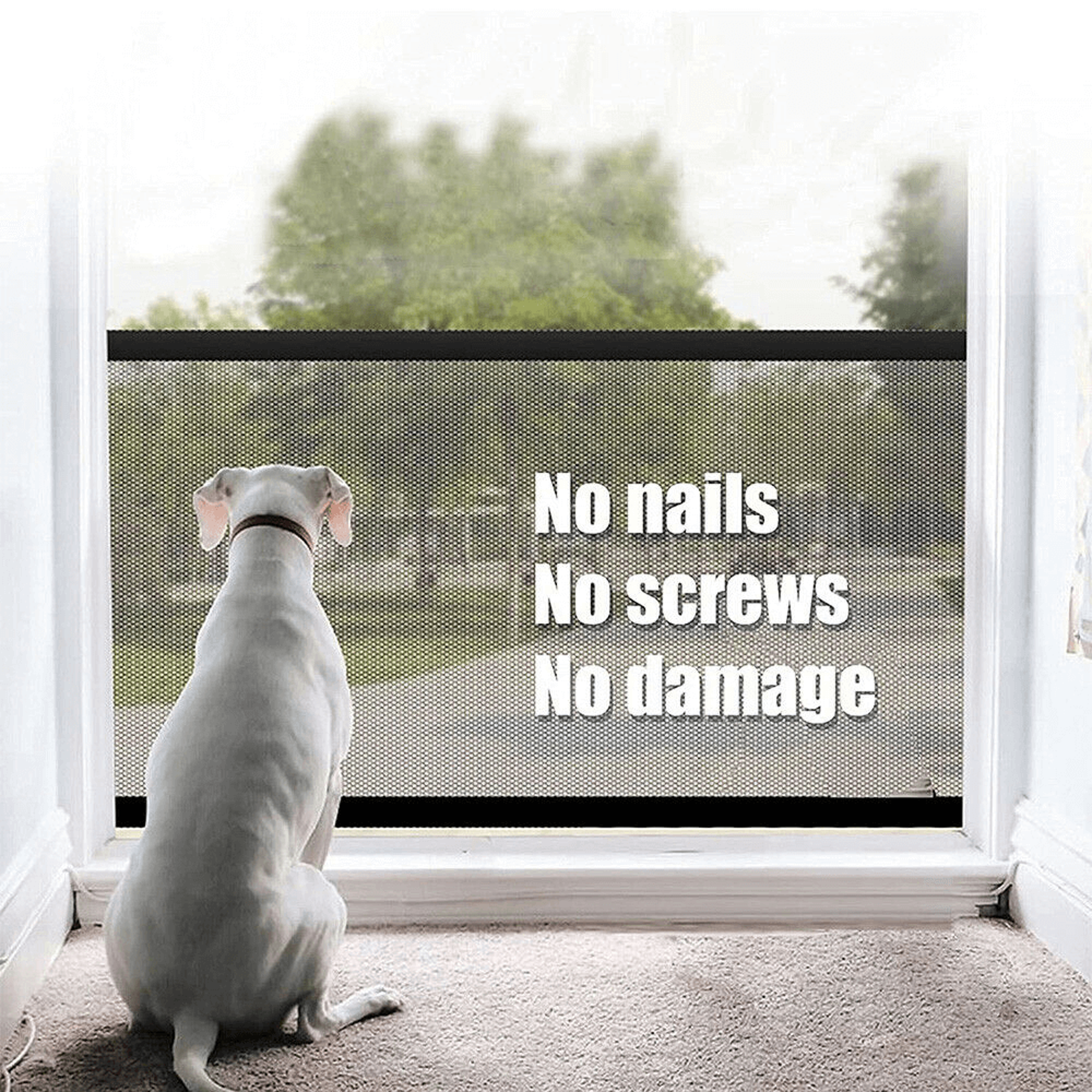 portablekids&petssafetydoorguard5.png