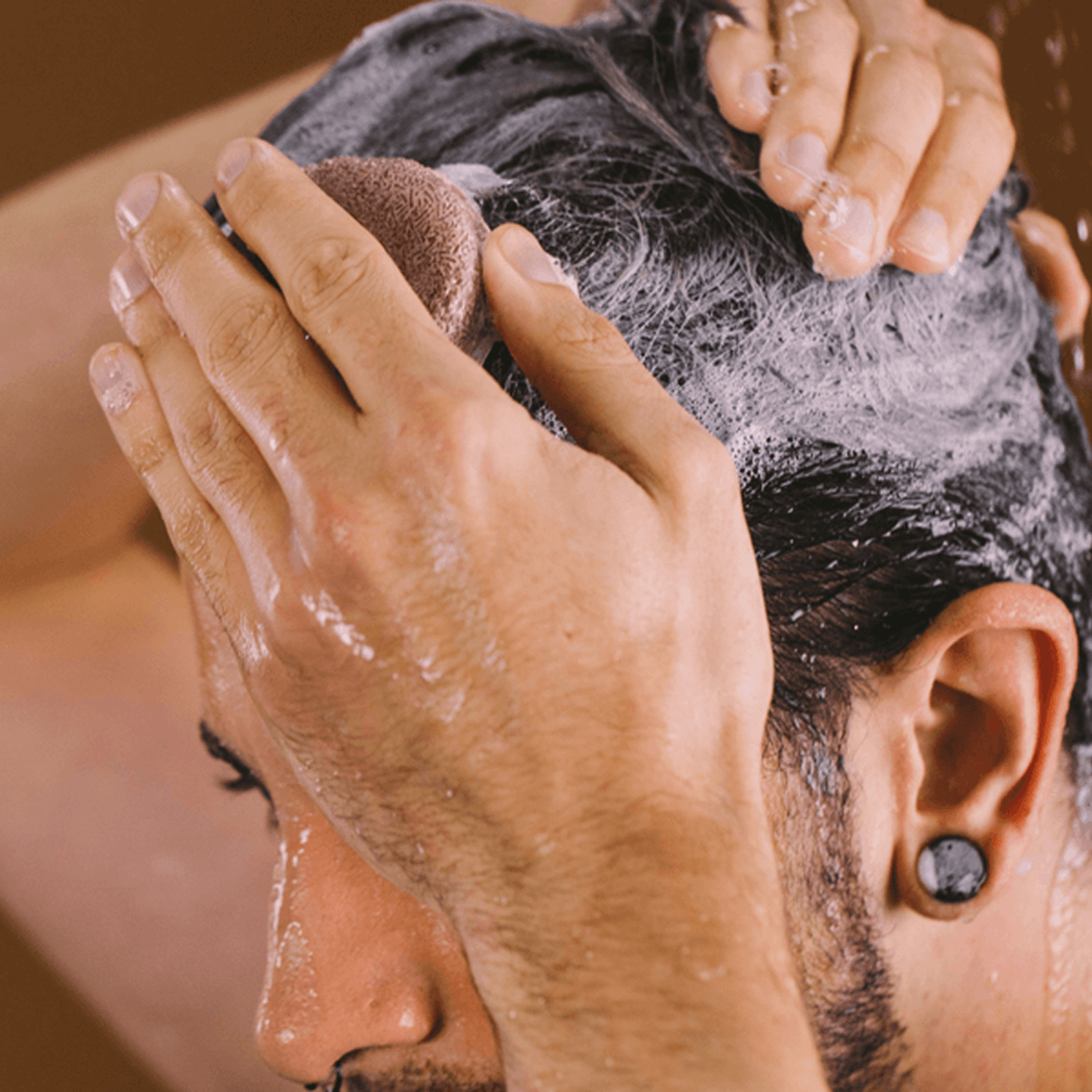 hairregrowthpolygonumhairdarkeningshampoobar1.png