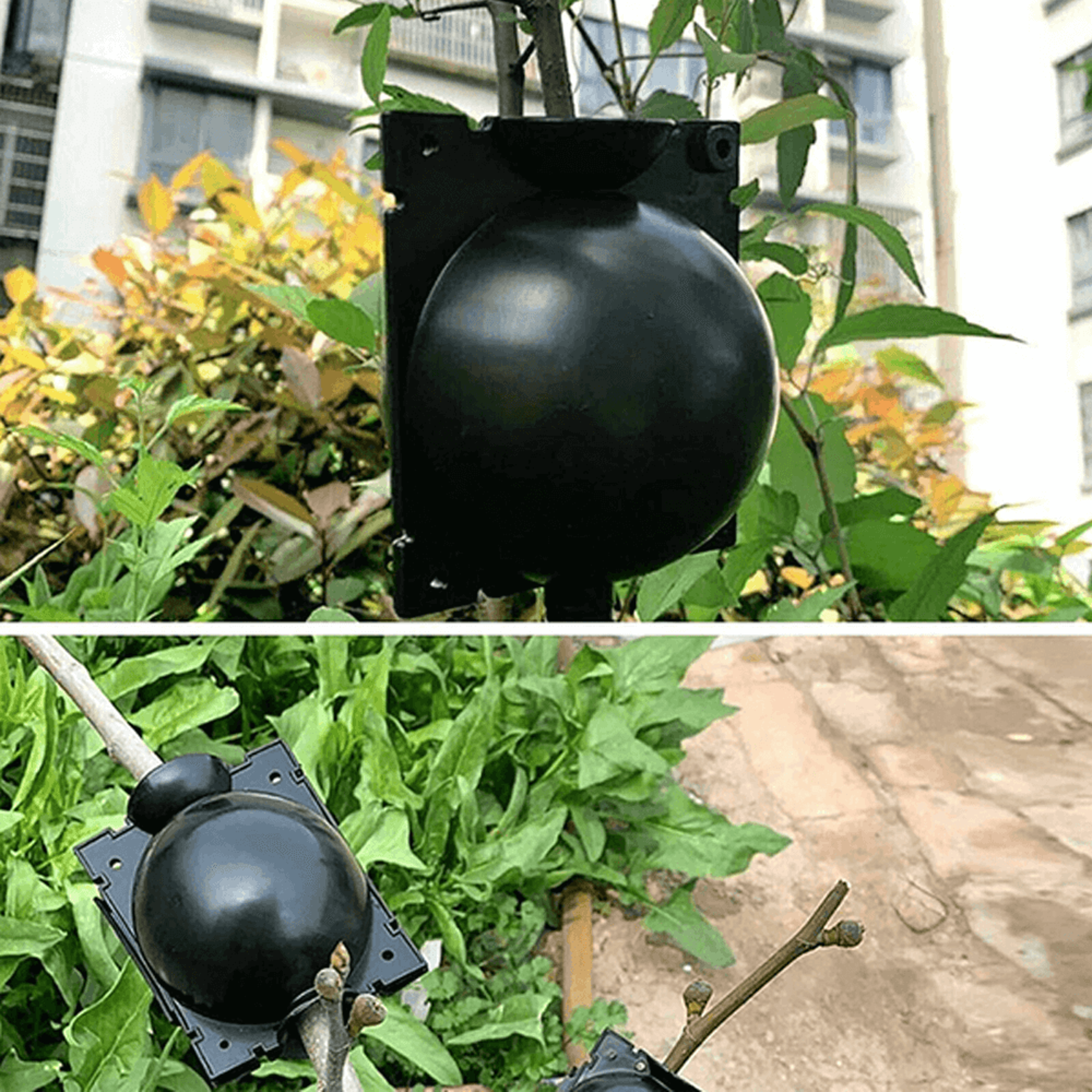 plantpropagationrootgrowingbox6.png