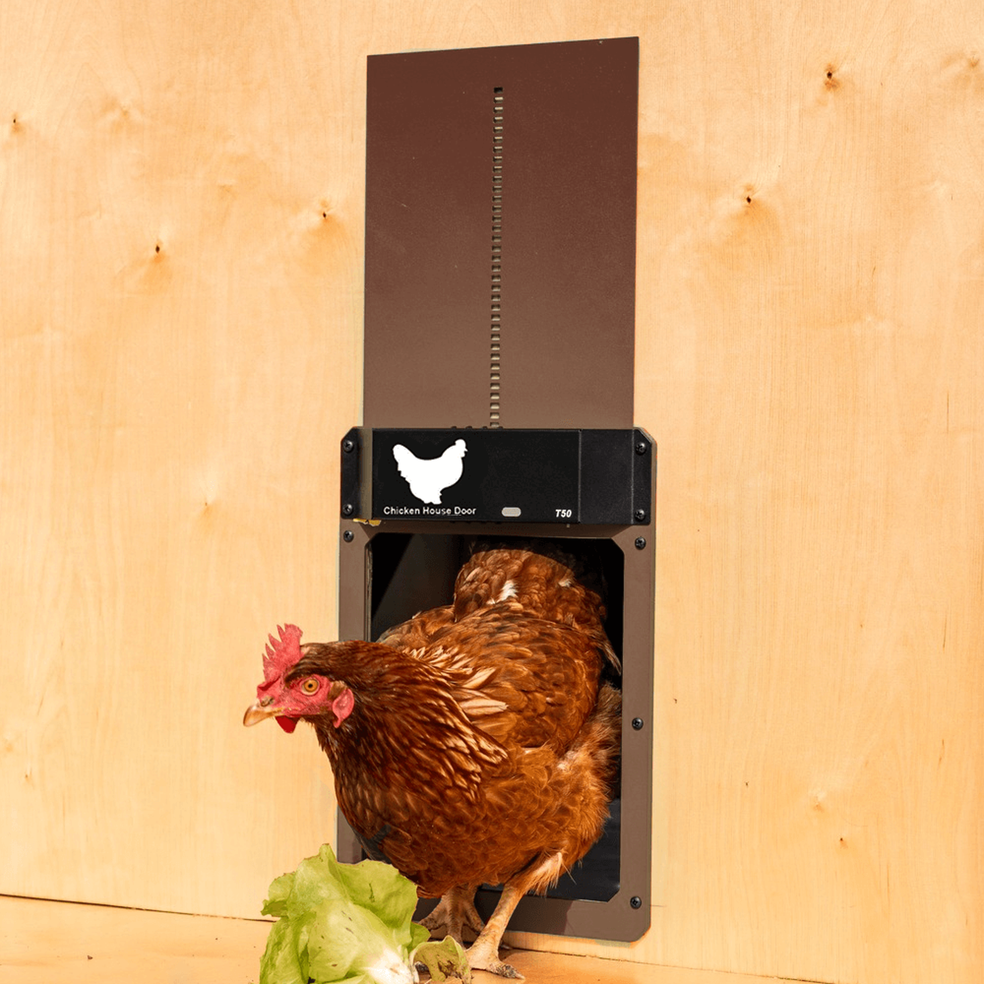 reliableandautomaticchickenhousedooropener1.png