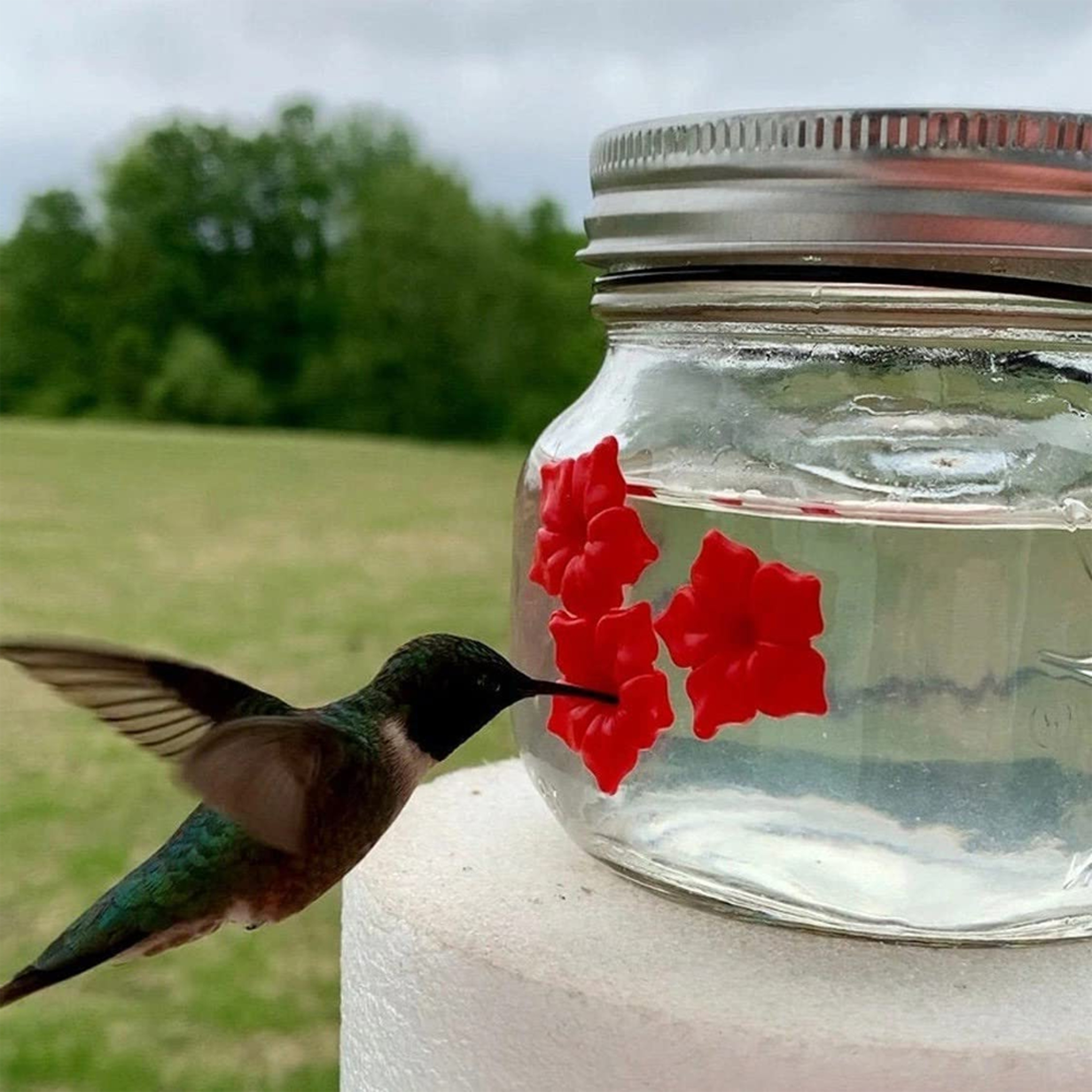 beautifulmasonjarhummingbirdfeederwiththreeports1.png