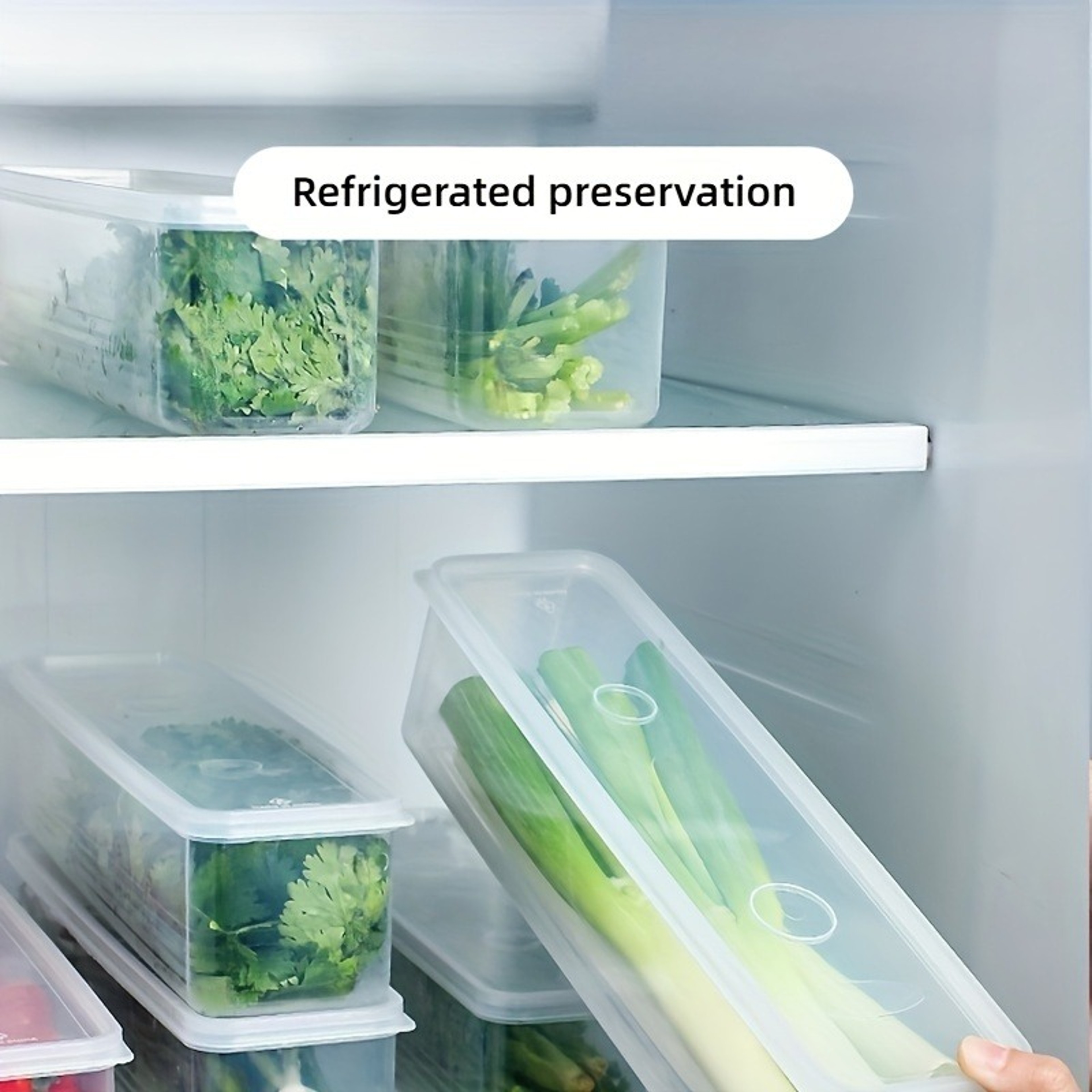 Long Rectangular Reusable Food Storage Containers For Refrigerator Plastic Organizer Box Set 2