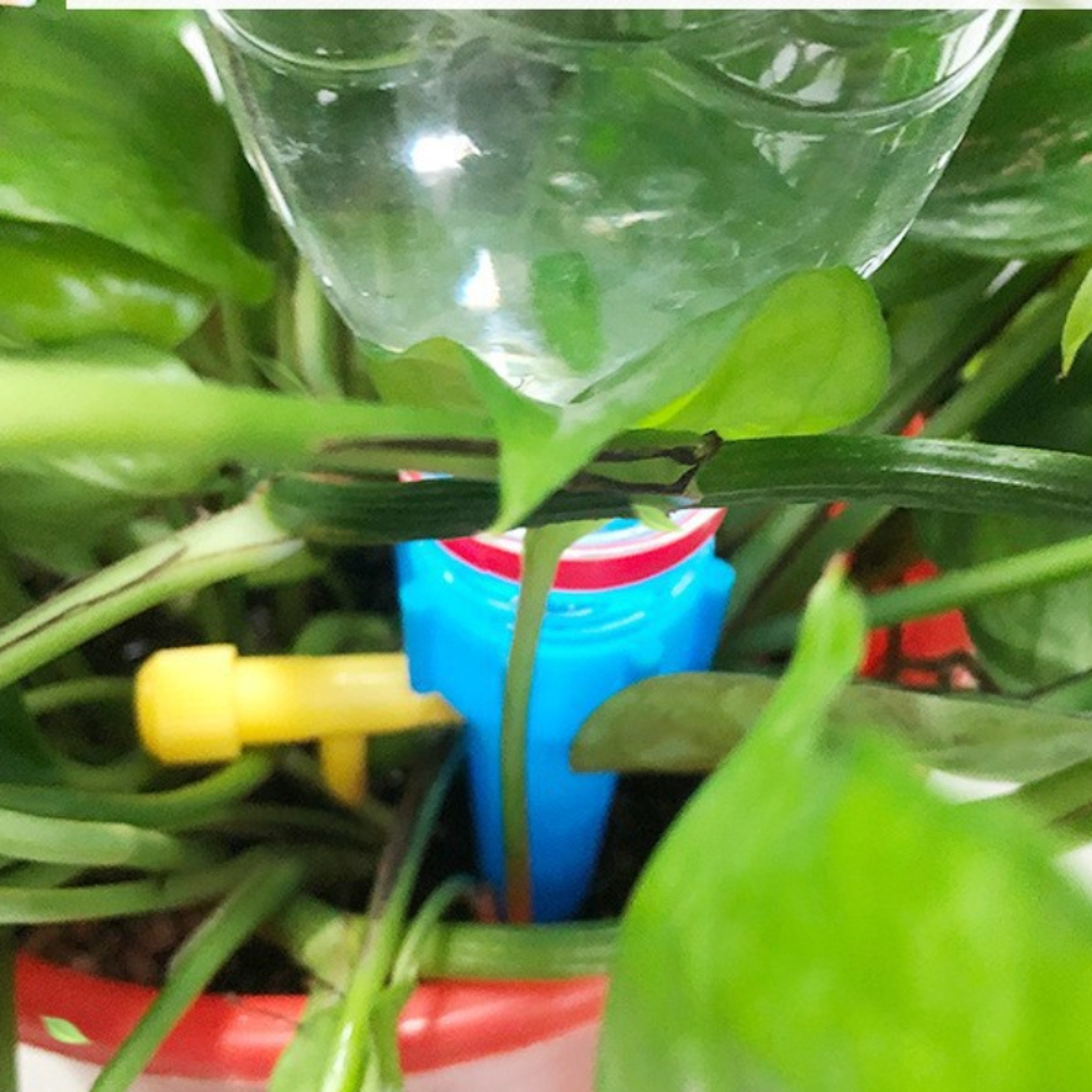 Adjustable Automatic Watering System for Flower Pots Self Watering Dripper for Home & Balcony Gardens – view 4