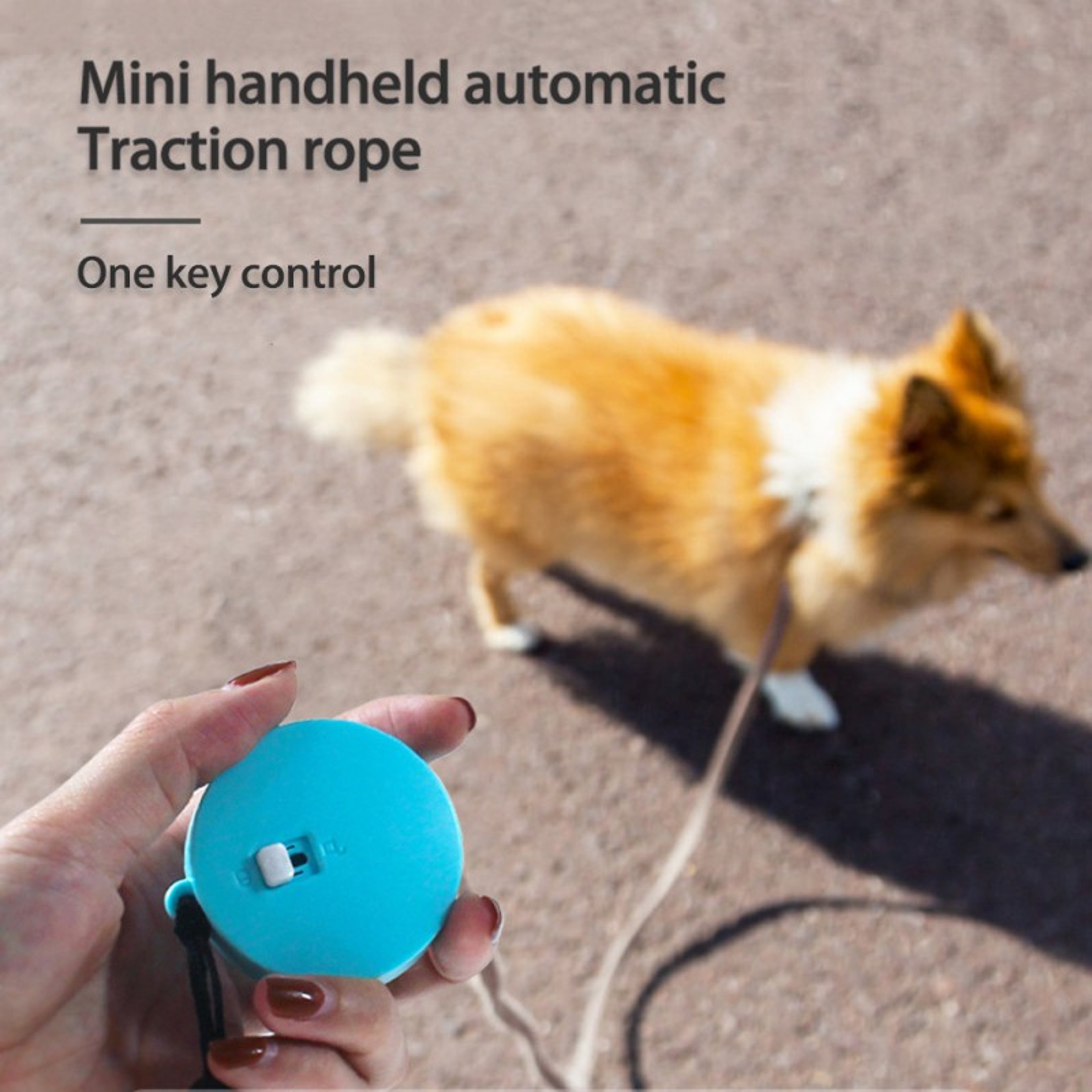 Retractable Dog Leash for Small Dogs and Puppies – view 6