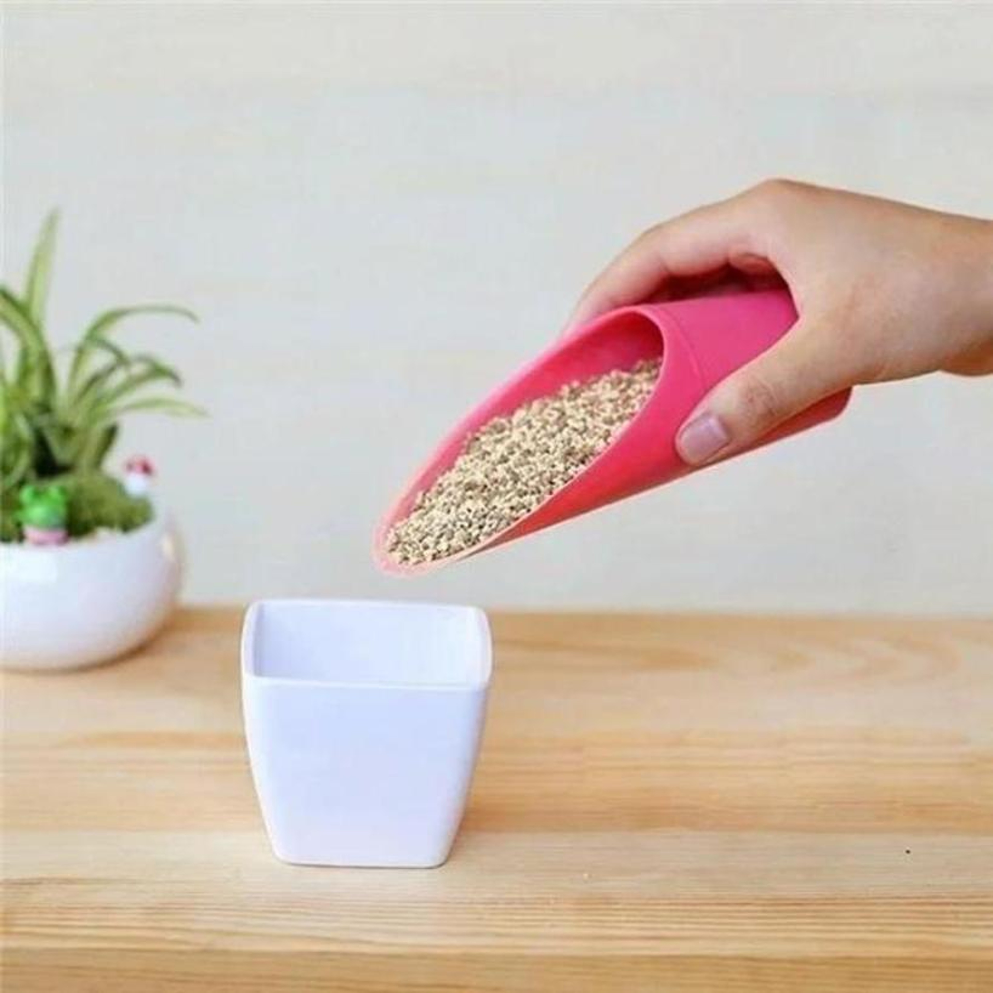 Plastic Seedling Transplanter Soil Scoop for Succulent and Garden Potting – view 5