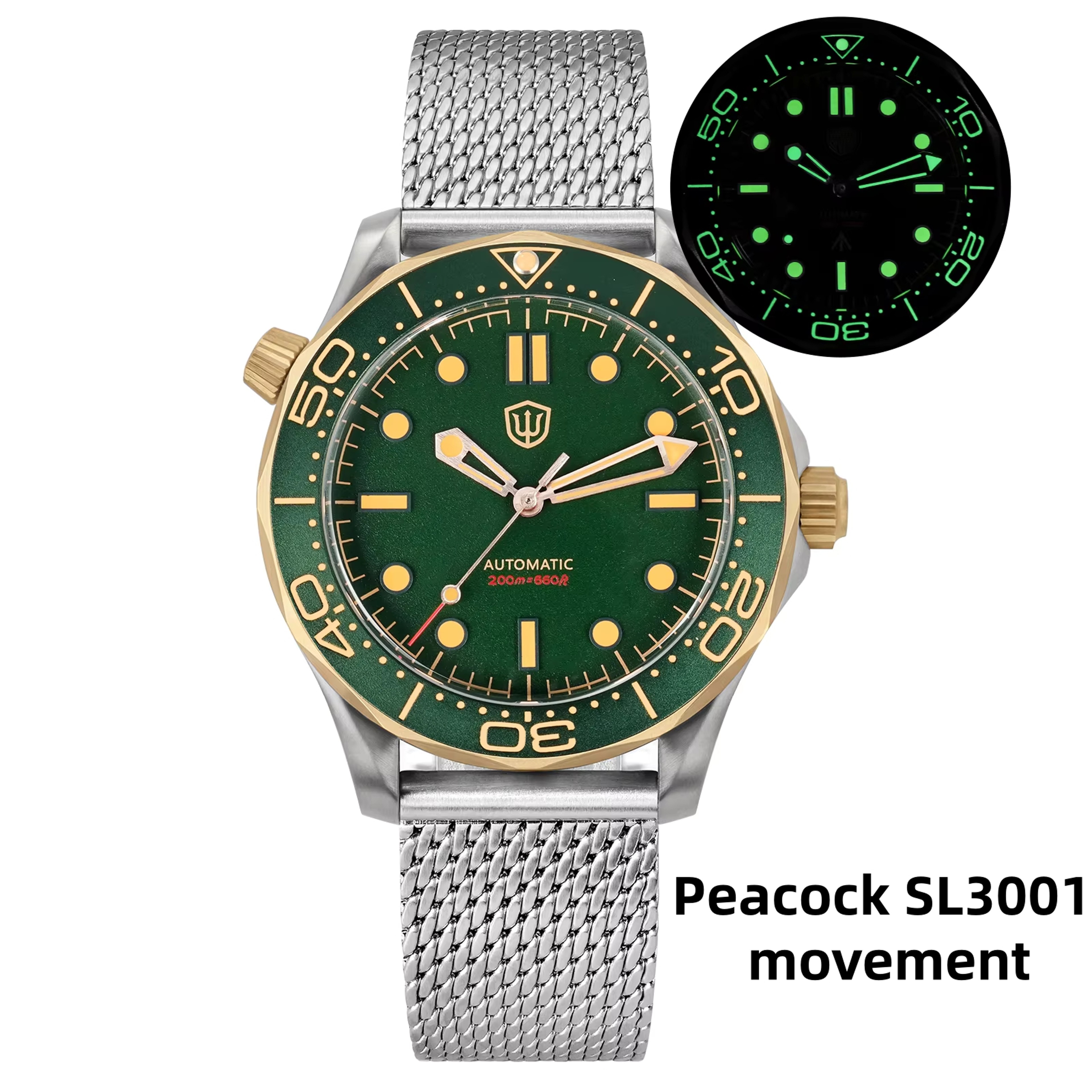 Automatic Titanium Luxury Watch With Sapphire Crystal Luminous Dial 16