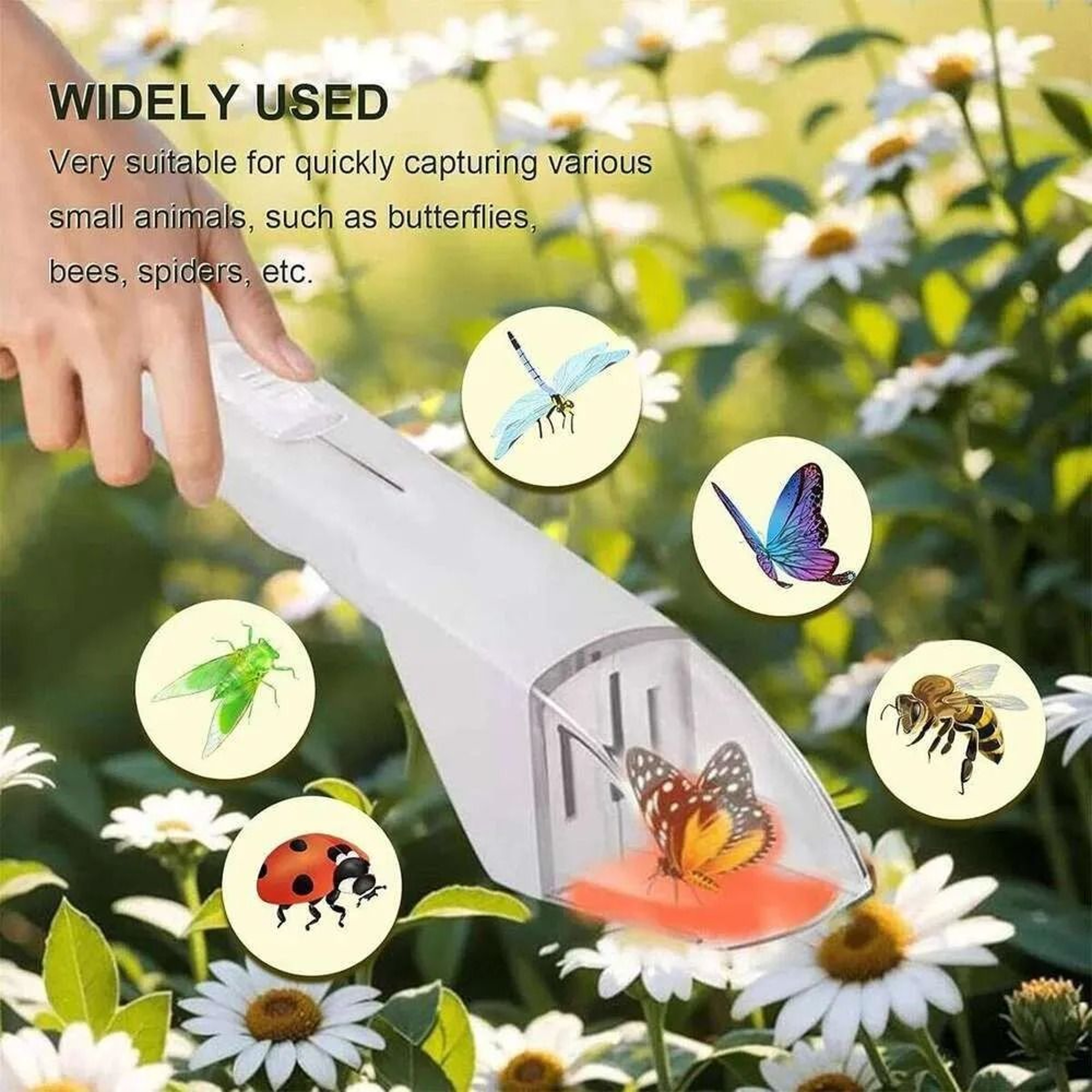 Bed Bug Catcher Tool With Clear Viewing Window And Quick Release Mechanism 2