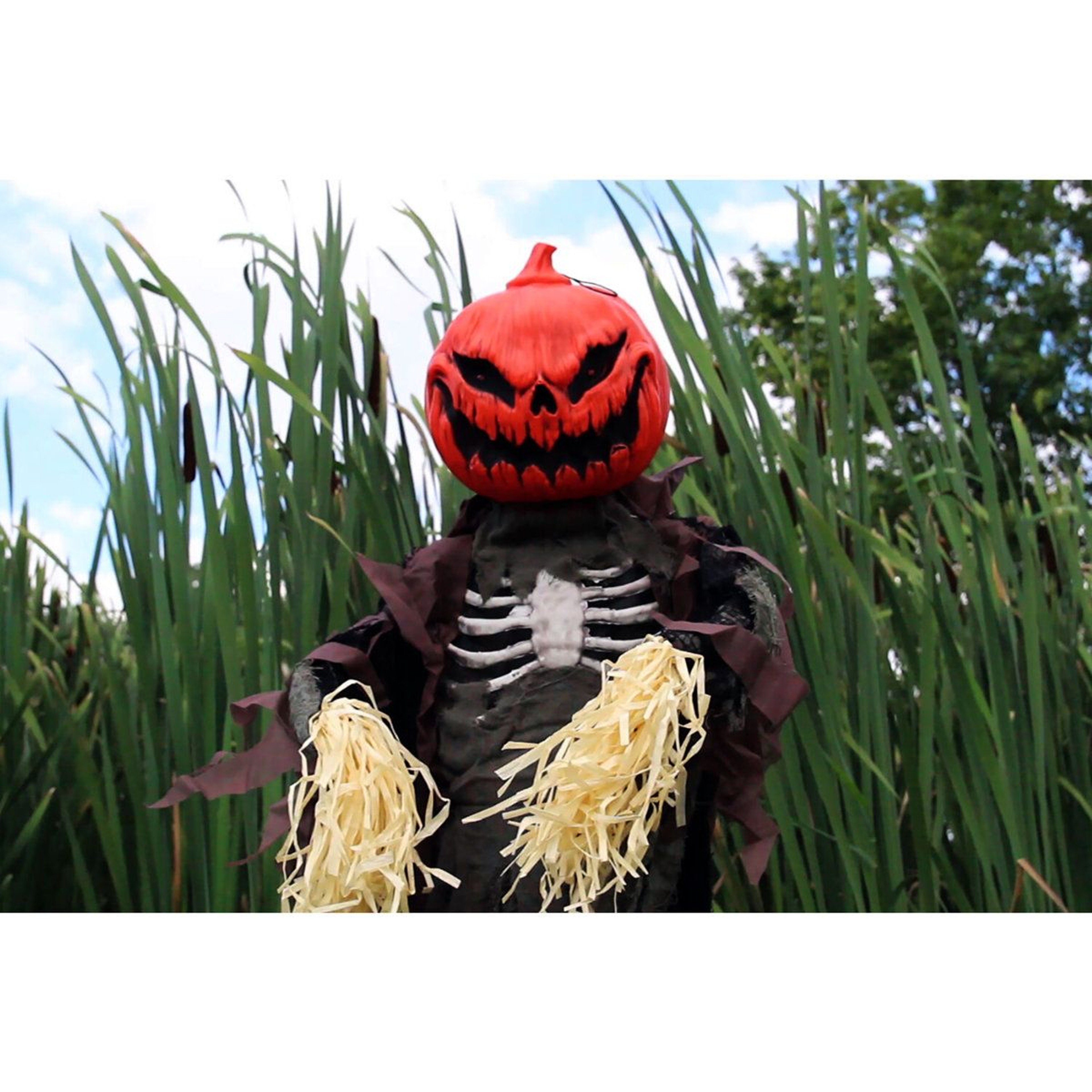 Animatronic Halloween Scarecrow With Light Up Pumpkin Head 1