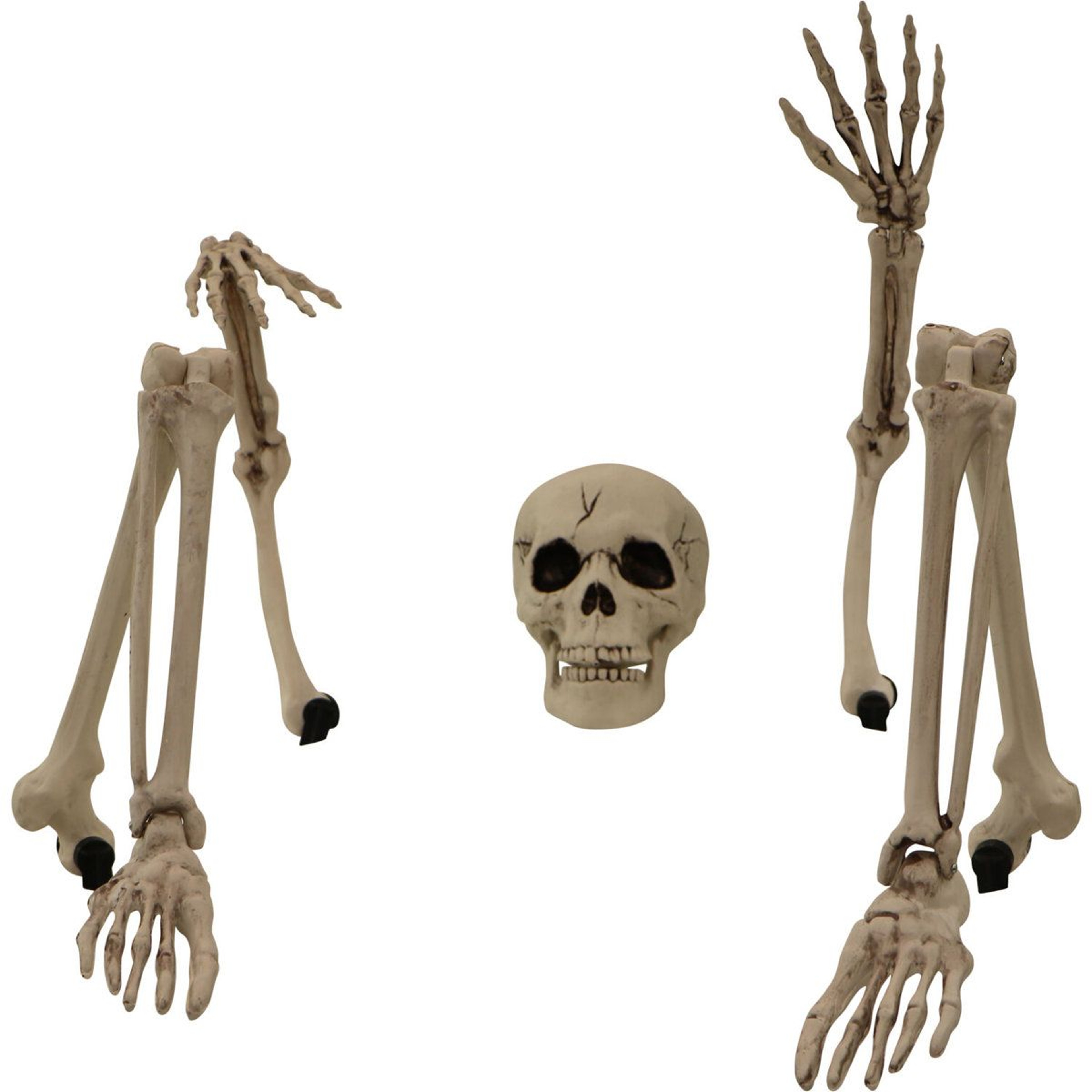 Ground Breaking Skeleton Stakes Spooky Halloween Decoration 4
