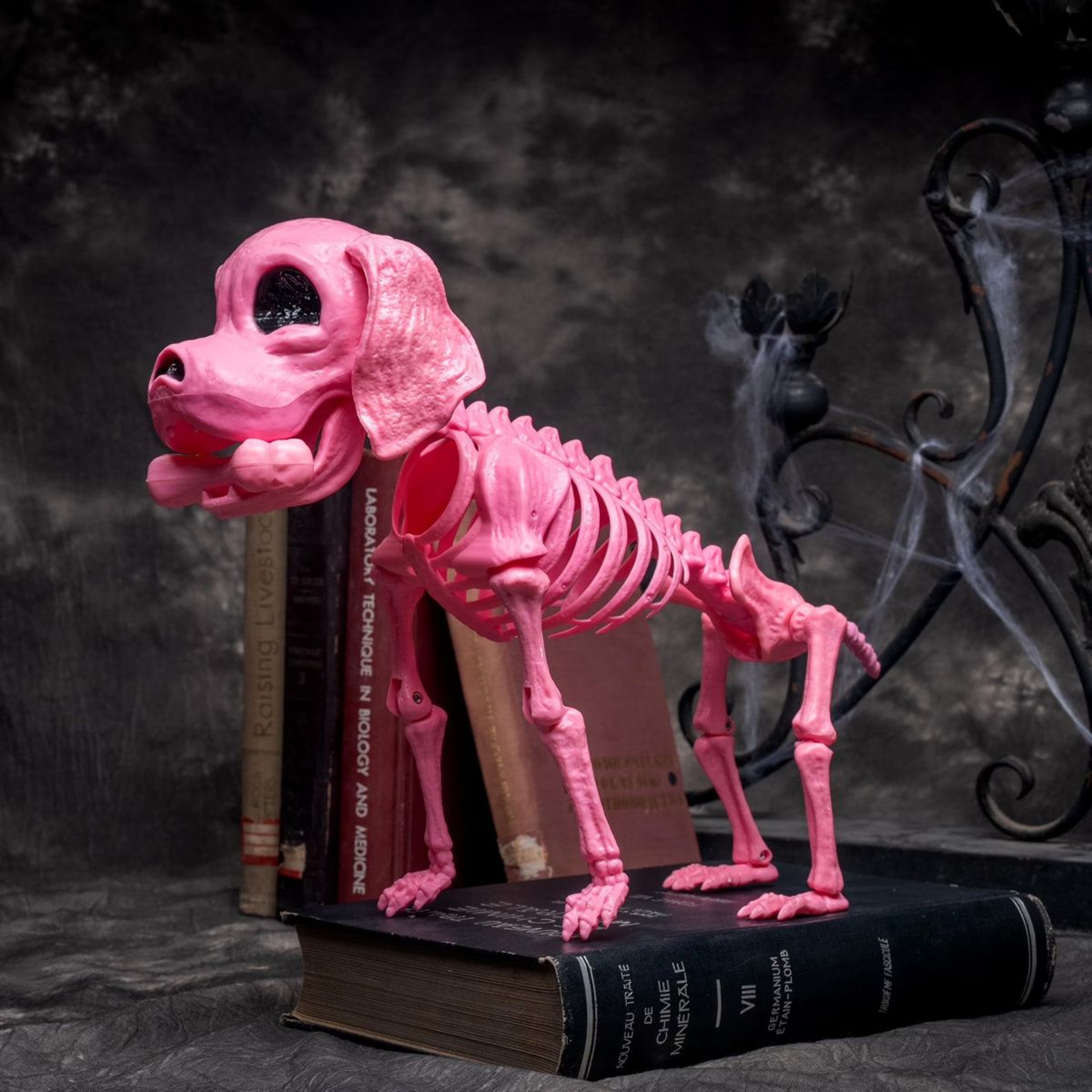 Posable Pink Dog Skeleton Halloween Figurine Decoration 5