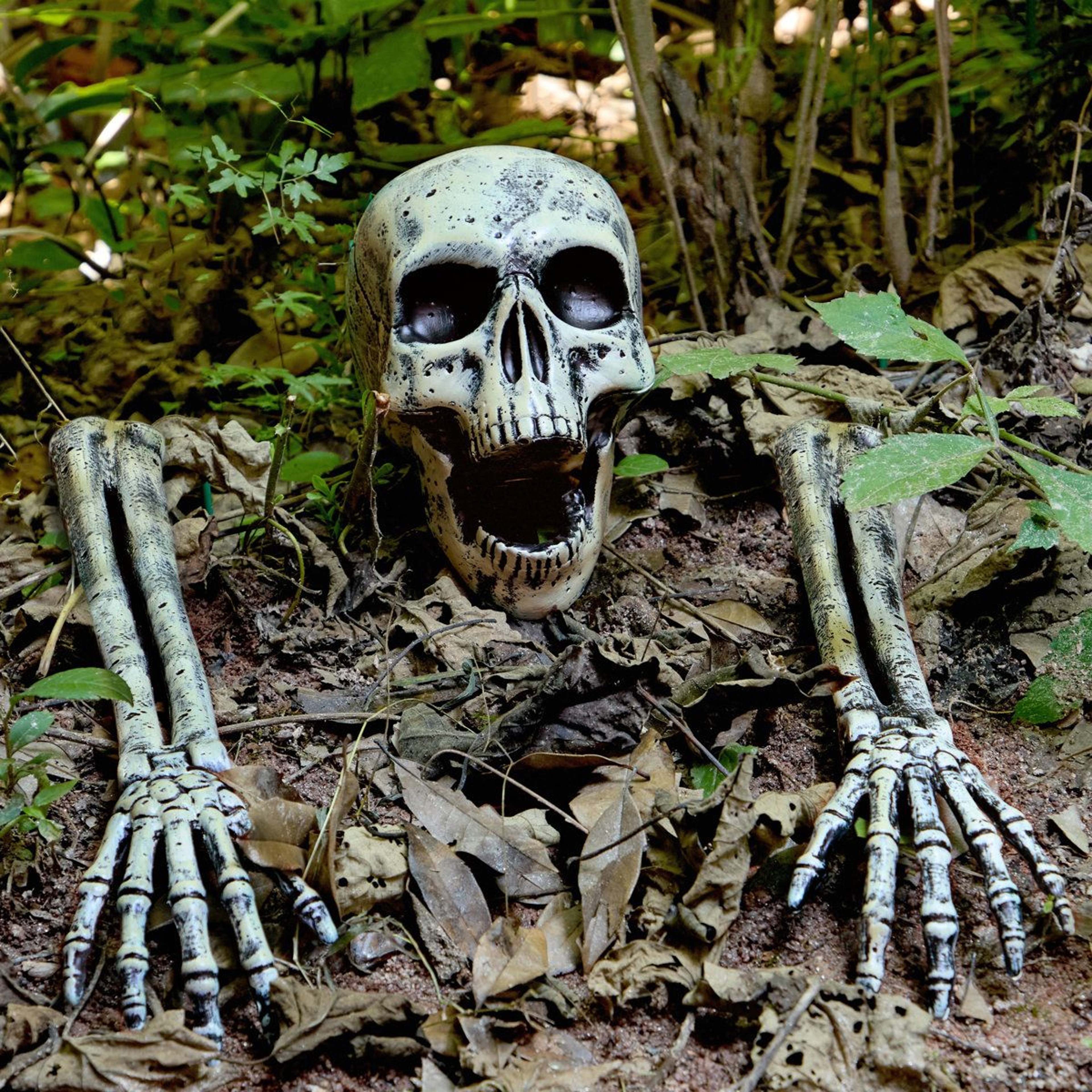 Halloween Skeleton Yard Stakes Gray Groundbreaker Skull Decorations 3