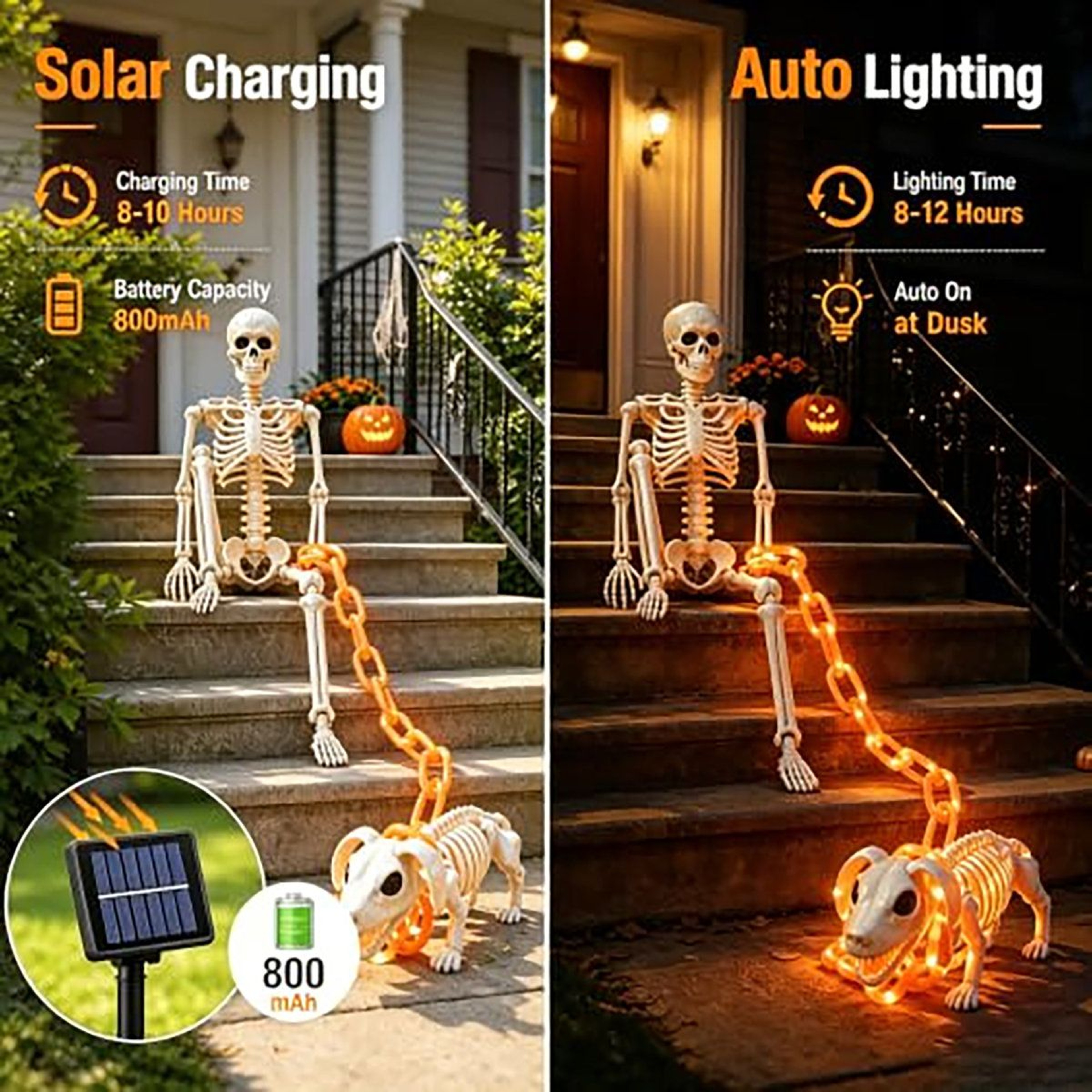 Halloween Skeleton And Dog Decoration With Solar Light Chain And Lighting Modes 1