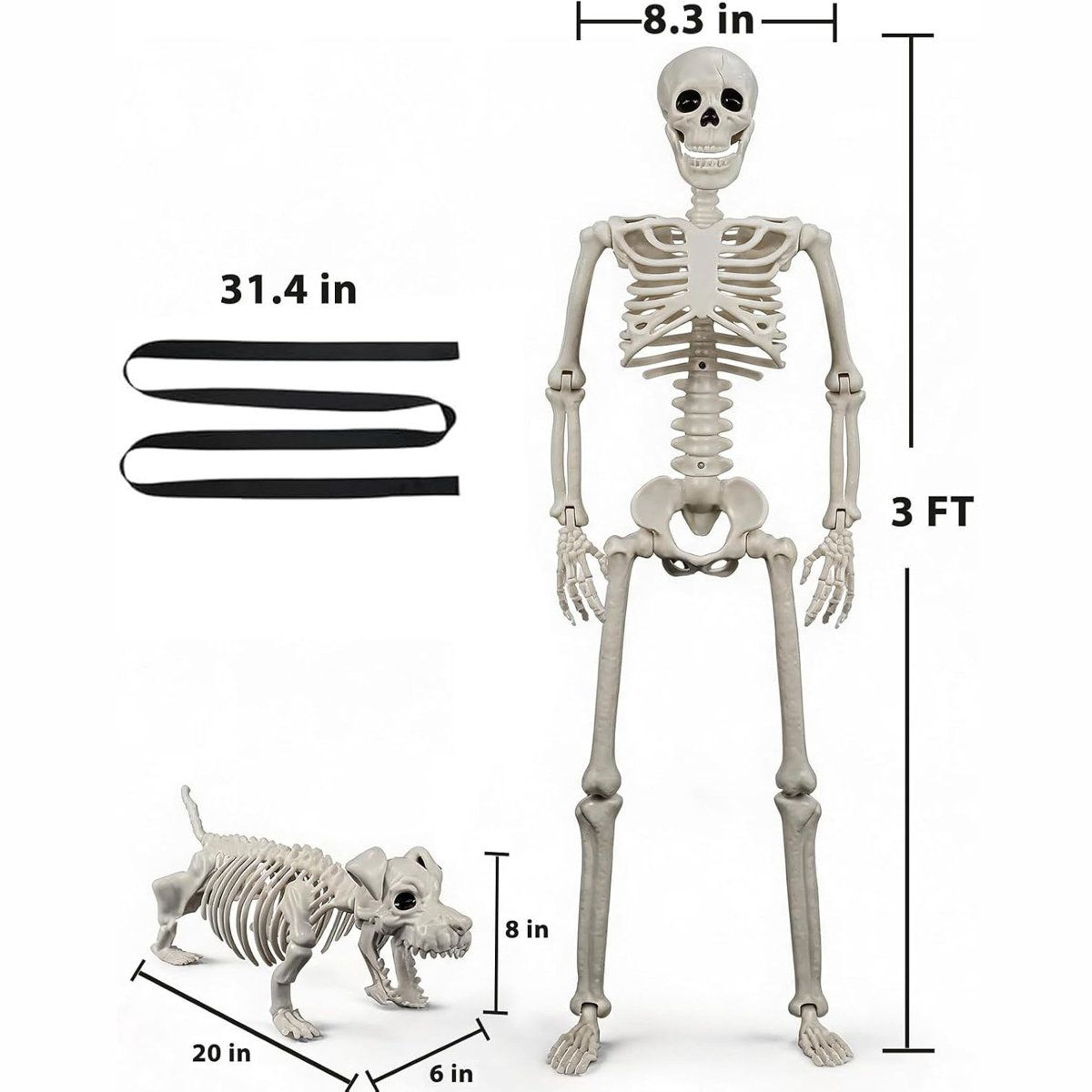 Human And Dog Skeleton Halloween Decorations With Posable Joints 1