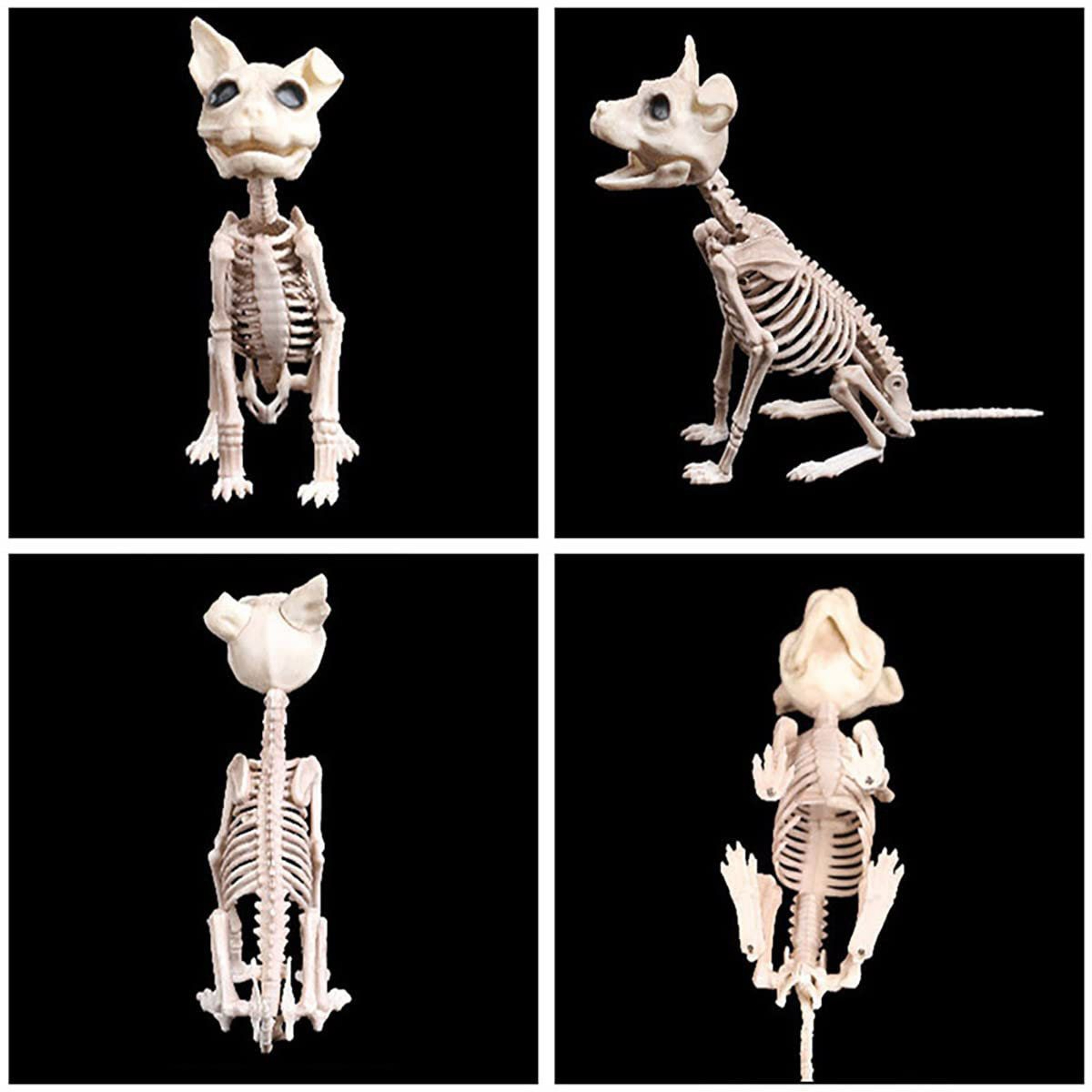 Plastic Halloween Skeleton Figurine White Outdoor Decoration 1