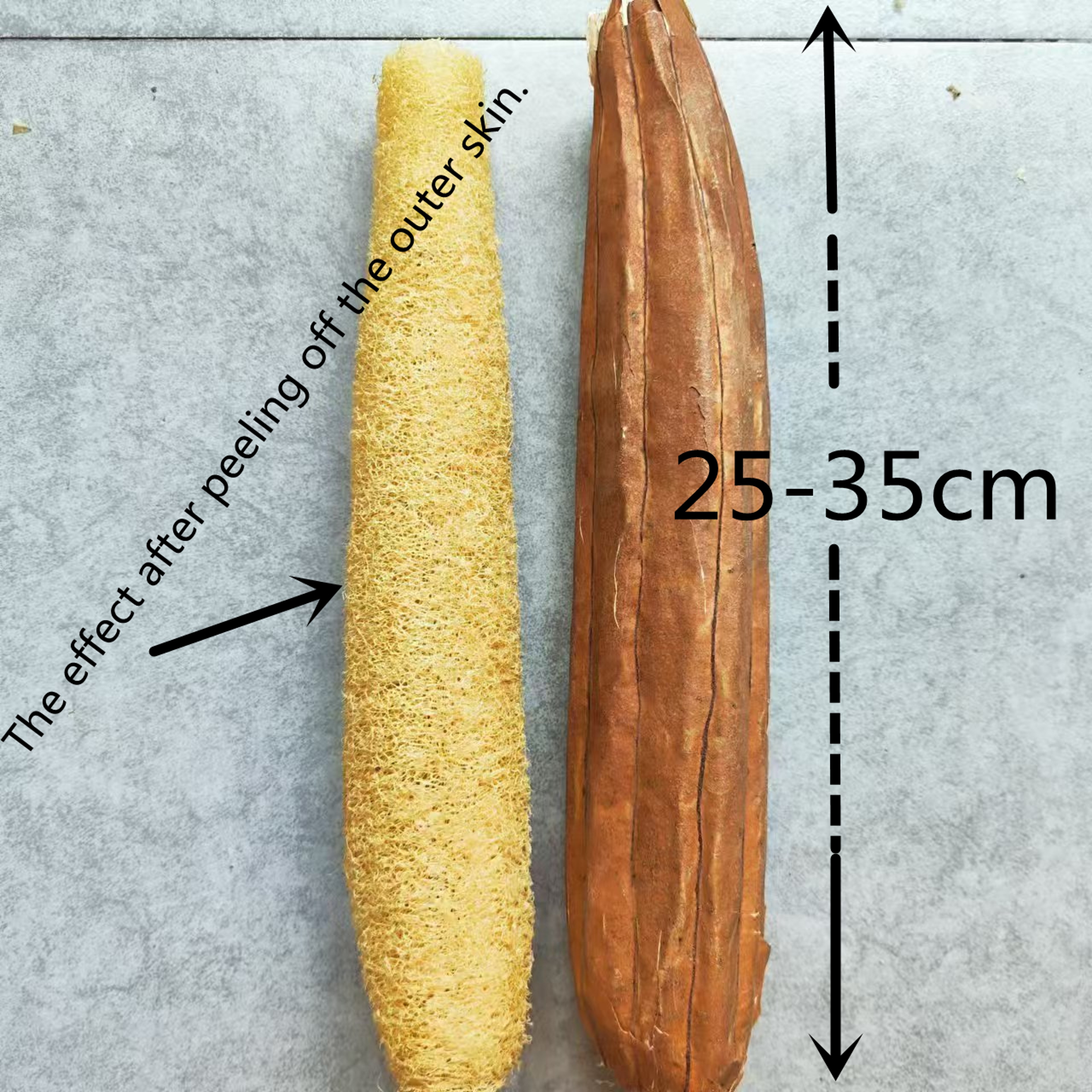 Natural Loofah Sponge Eco Friendly Exfoliating Shower & Household Scrubber – view 5
