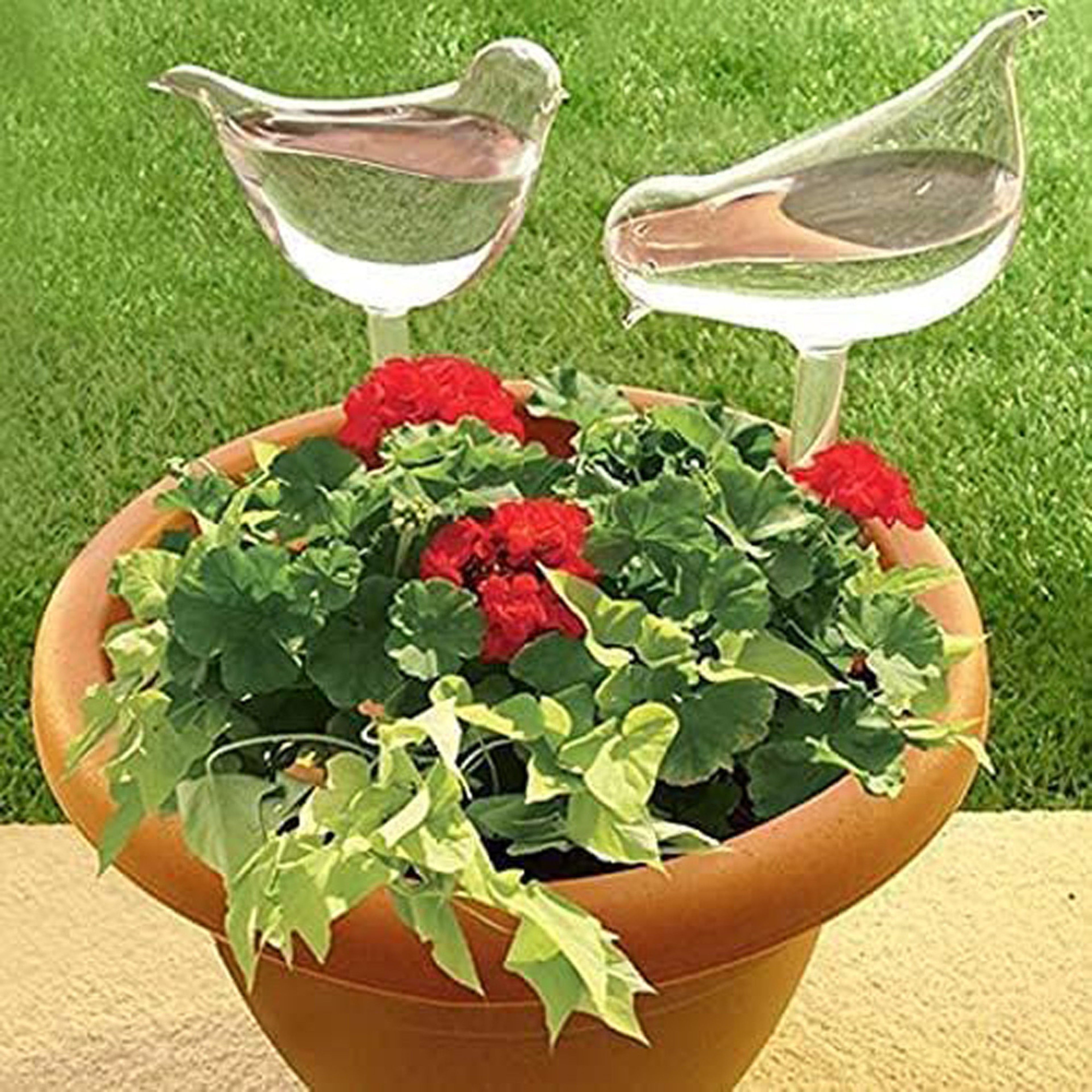 Bird Shape Self Watering Plant Bulbs Automatic Plant Watering Globe for Indoor & Outdoor Plants – view 1