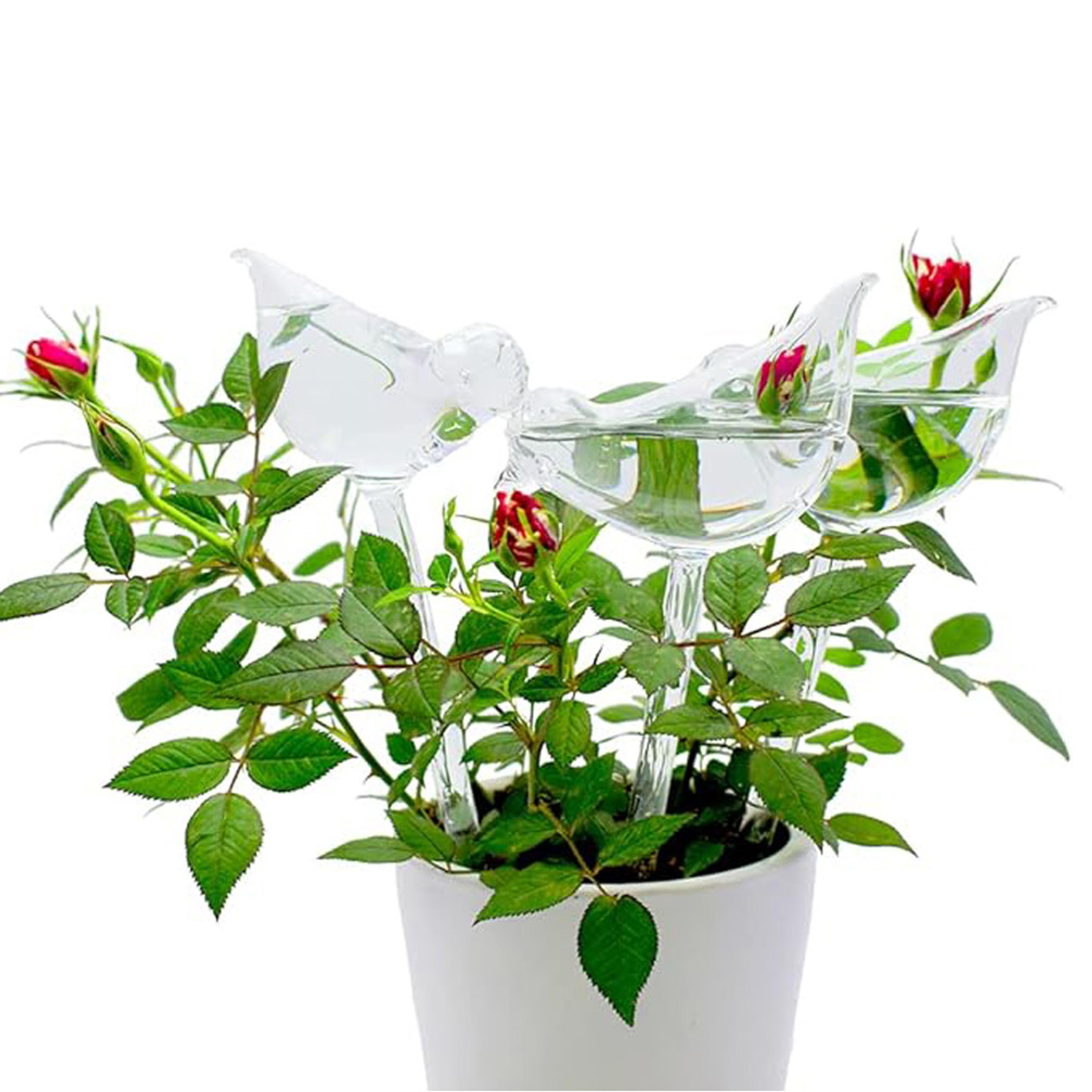 Bird Shape Self Watering Globes For Indoor Plants Automatic Plant Watering Bulbs For Potted Plants 3