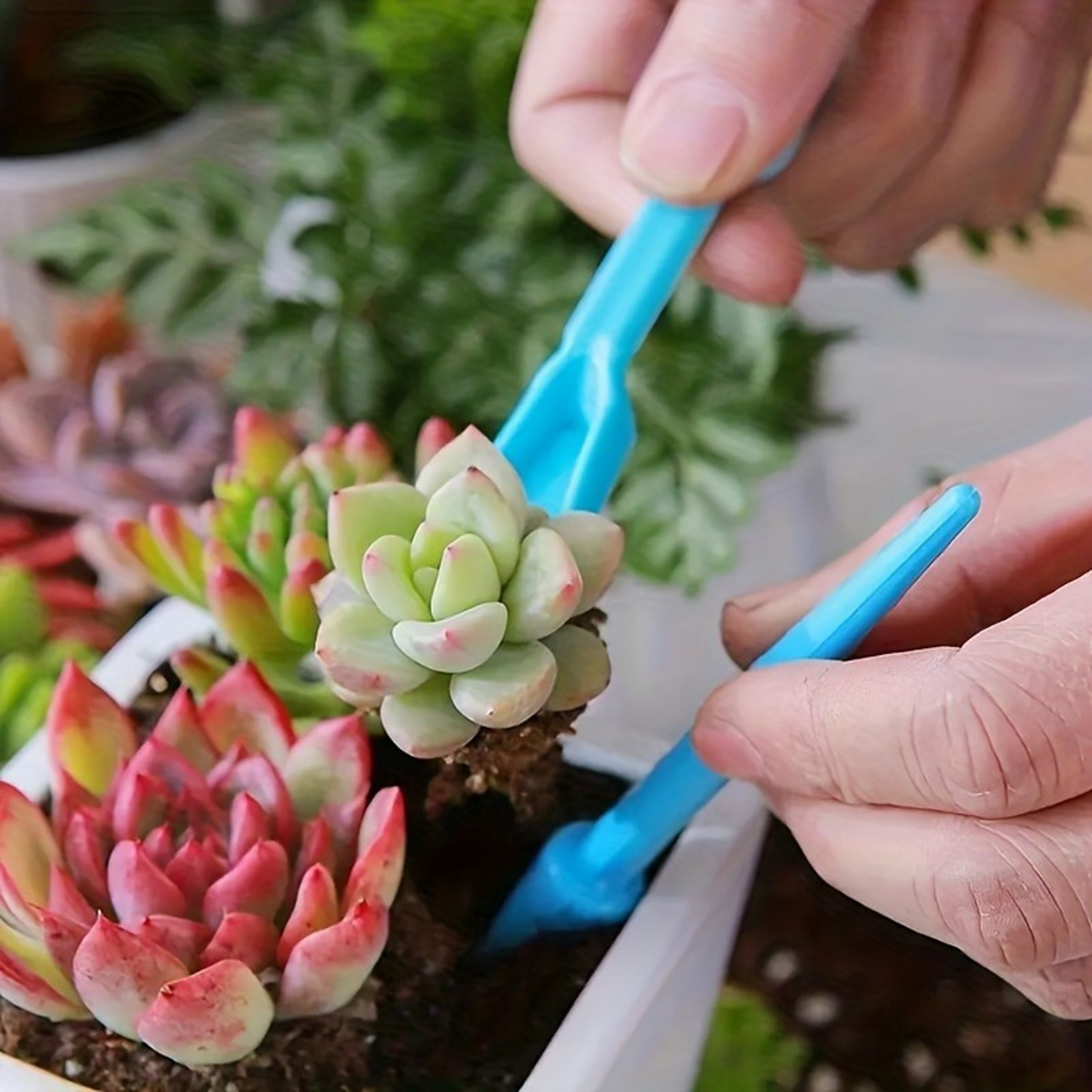 Mini Garden Tools Set for Succulents, Houseplants & Precision Potting – view 2