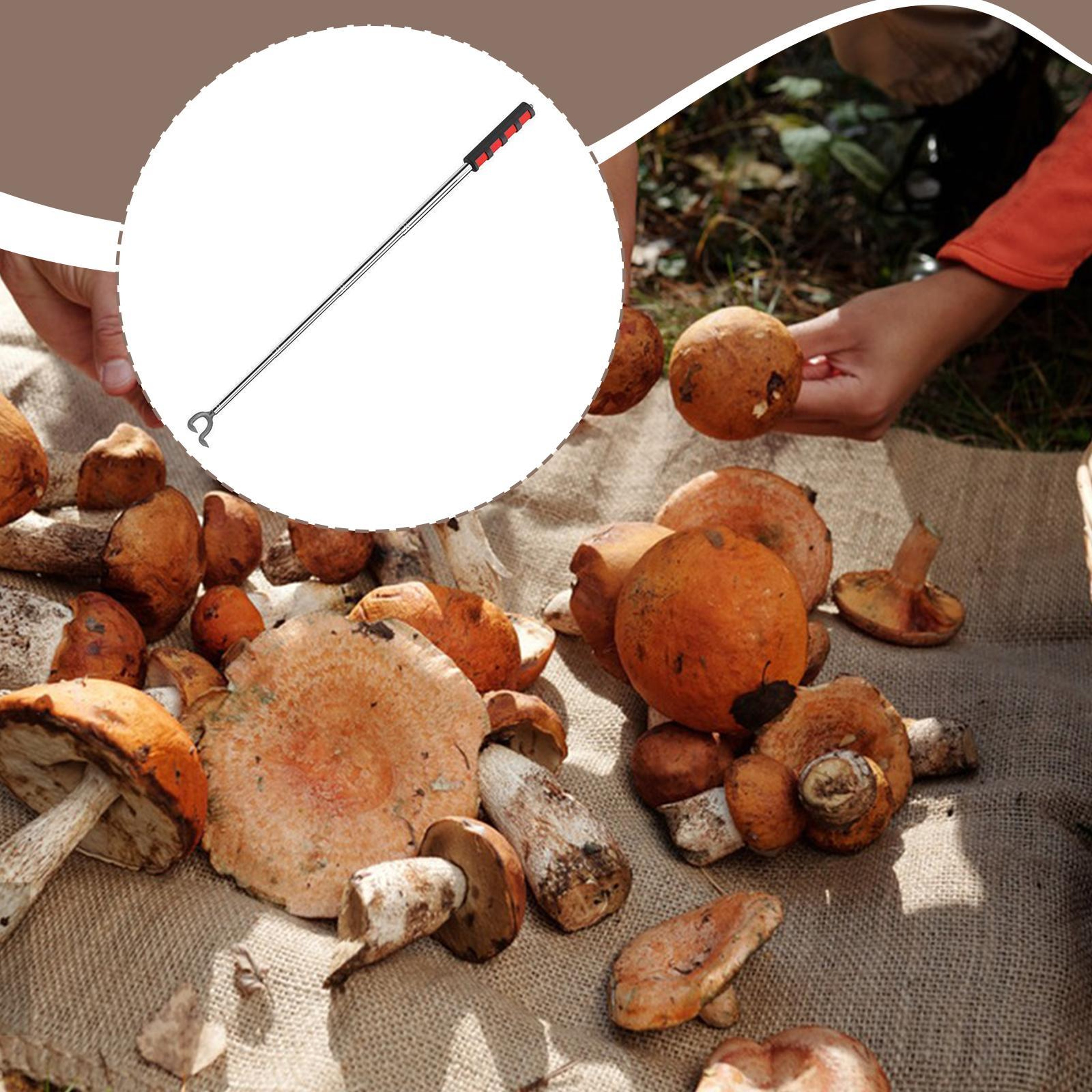 Adjustable Mushroom Picking Tool Telescopic Stainless Steel Mushroom Foraging Harvester – view 3