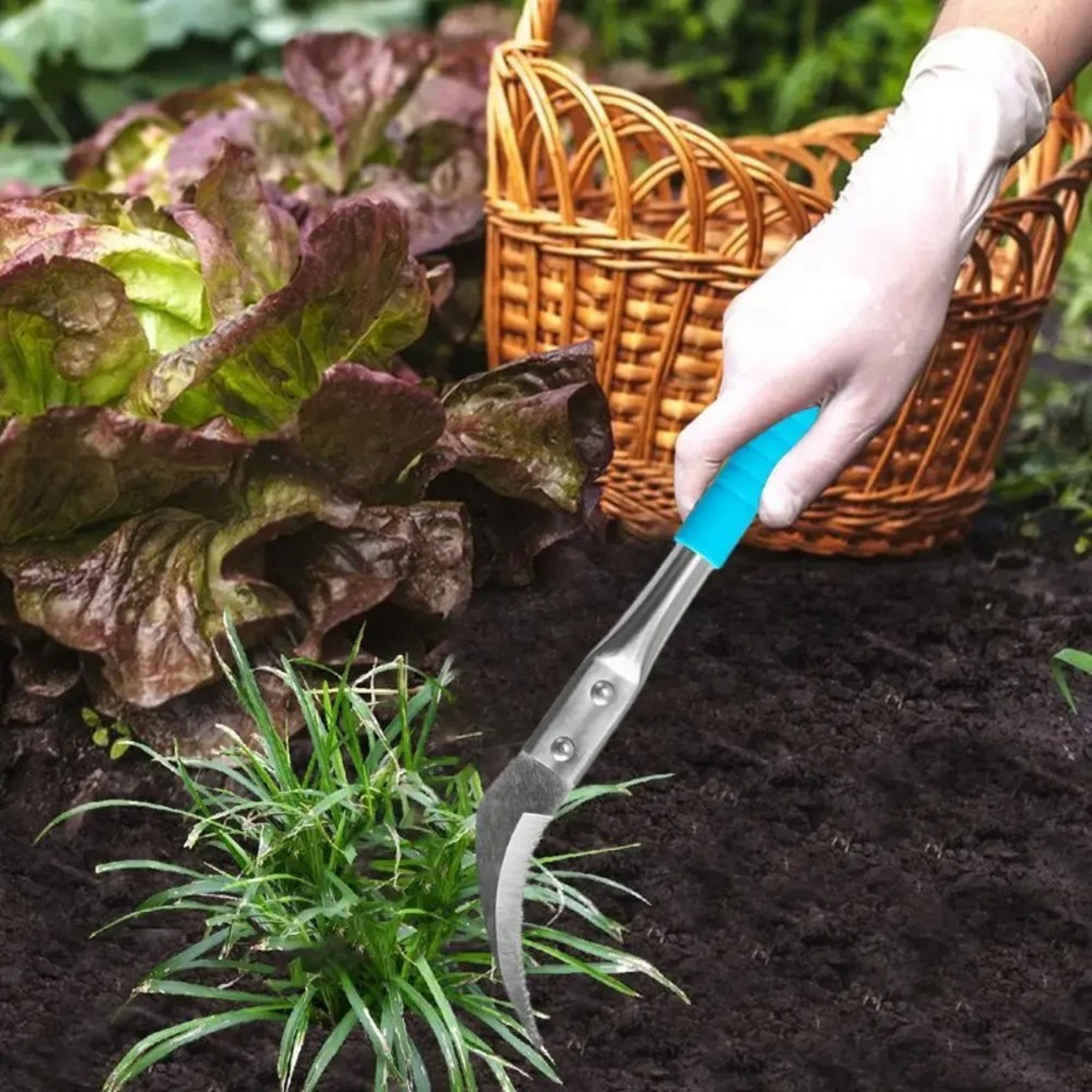 Multi Functional Crack Weeder Tool For Brick Joints Manual Garden Weed Remover 4
