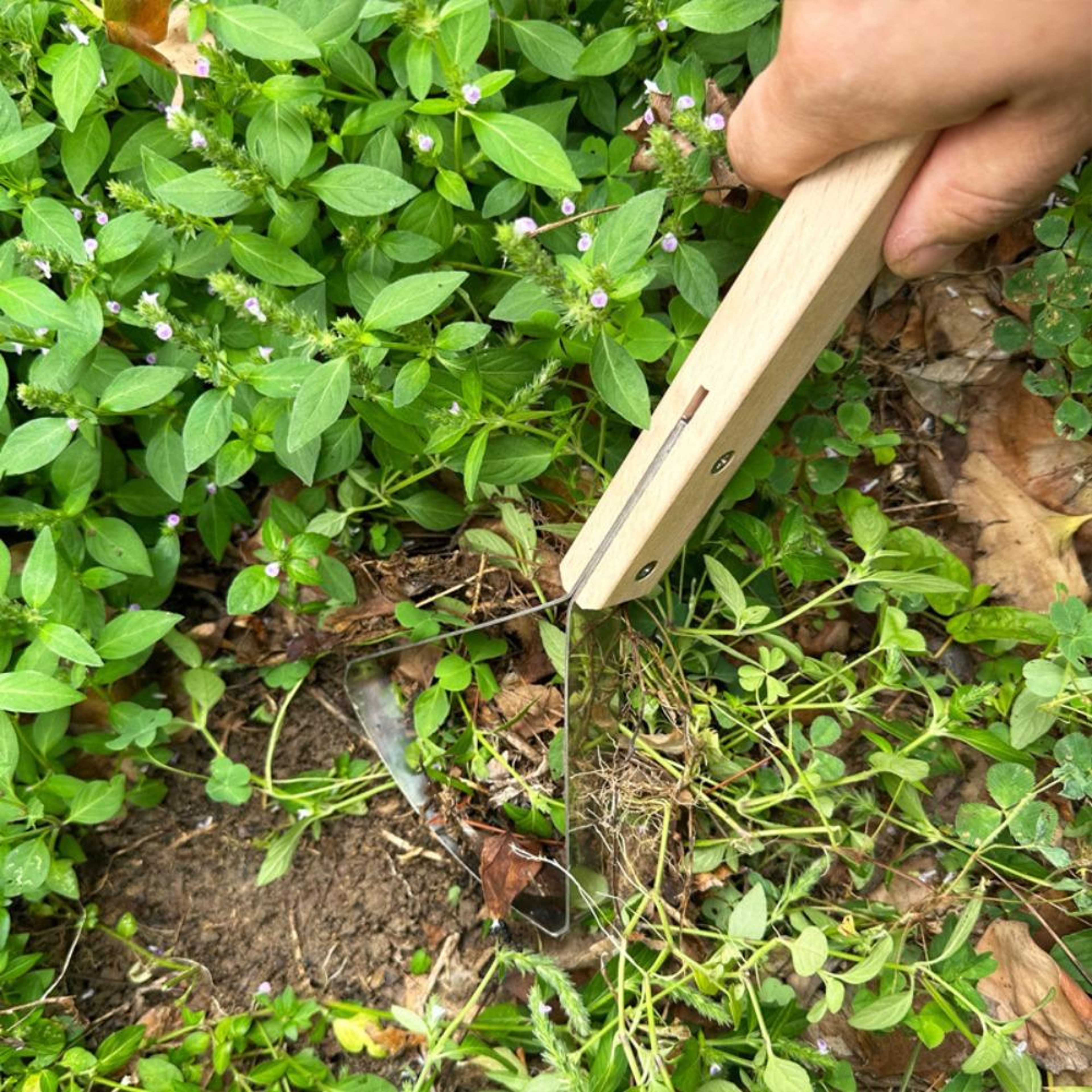 Manual Garden Weeder Triangle Grass Scraper with Wooden Handle for Fast Weed Removal – view 5
