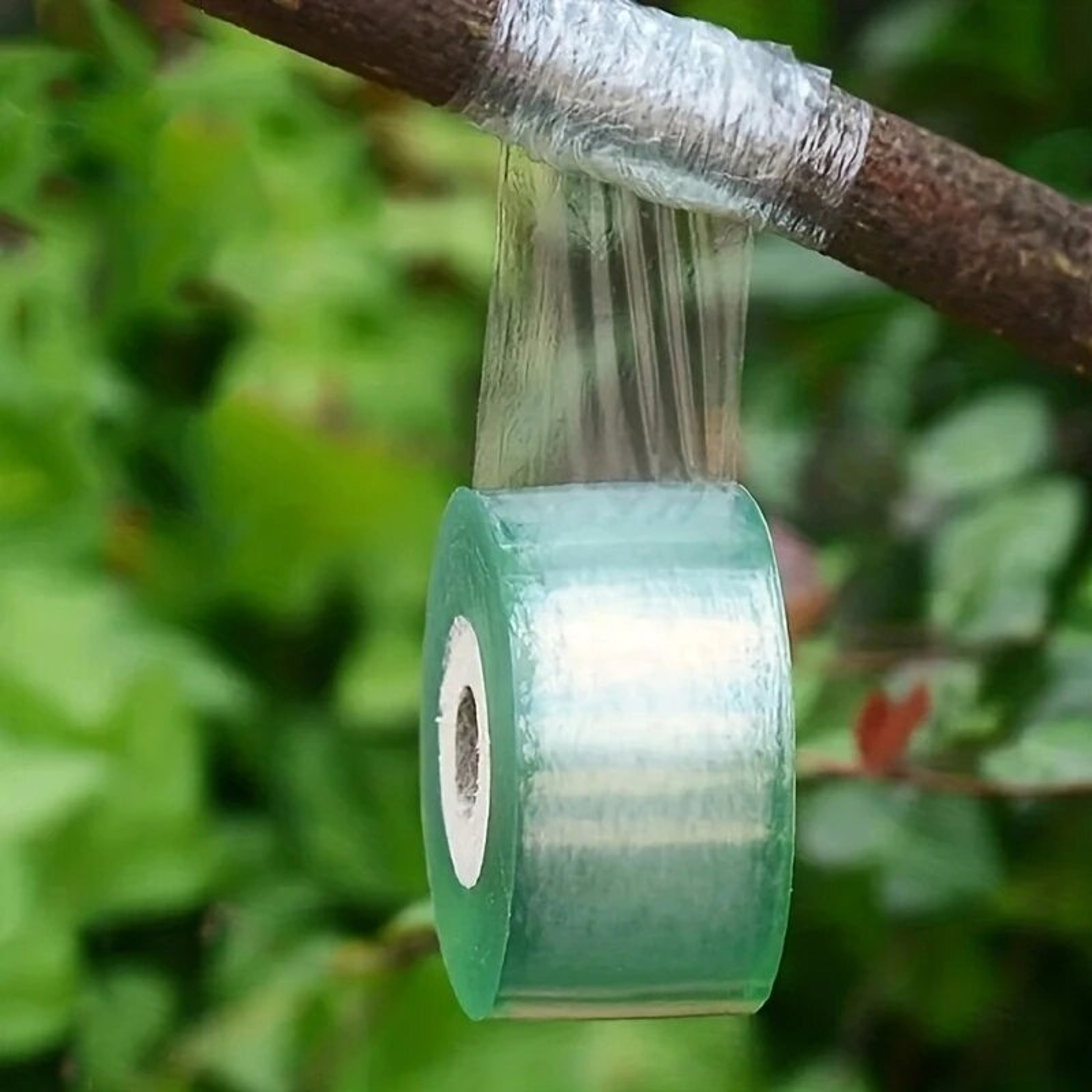 SelfAdhesive PE Grafting Tape Stretchable Garden Tree Plants Tape for Seedlings Vine  Tomato Graf