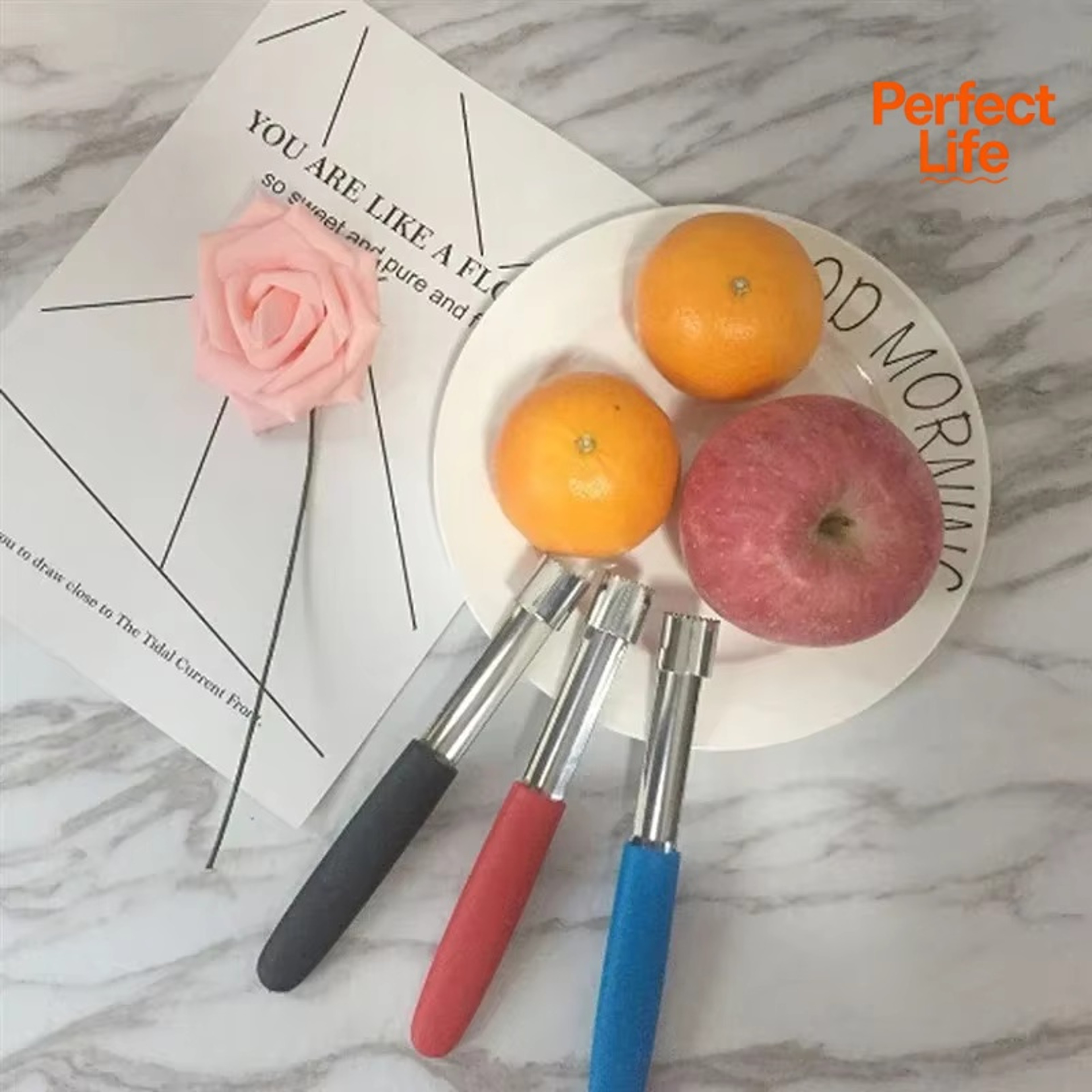TwistCore Fruit & Pepper Corer Stainless Steel Seed Remover – view 5