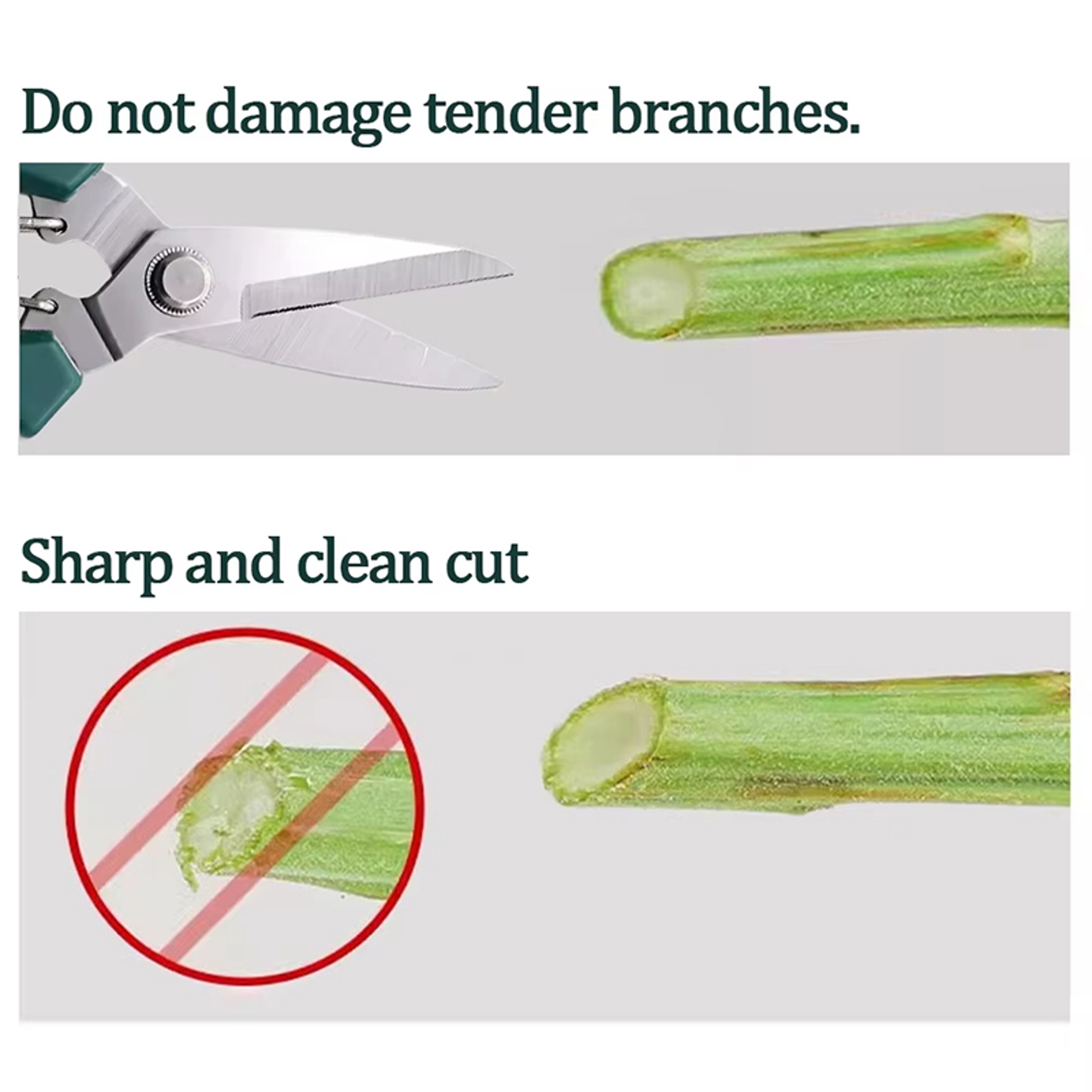 PrecisionCut Stainless Steel Bonsai Pruning Shears with Non Slip Grip – view 5
