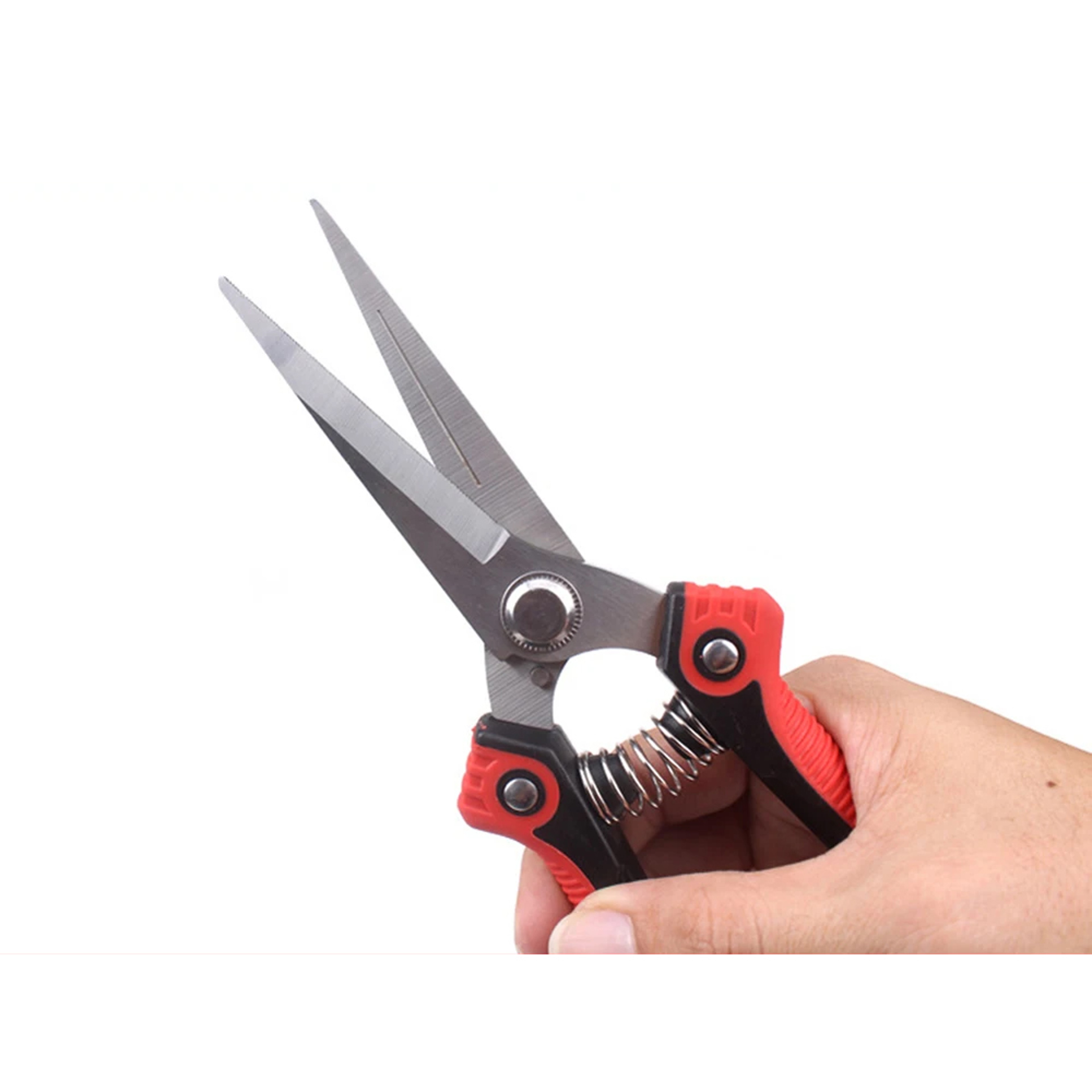 Precision Cut Stainless Steel Pruning Shears for Fruit Trees, Flowers & Garden Care – view 6