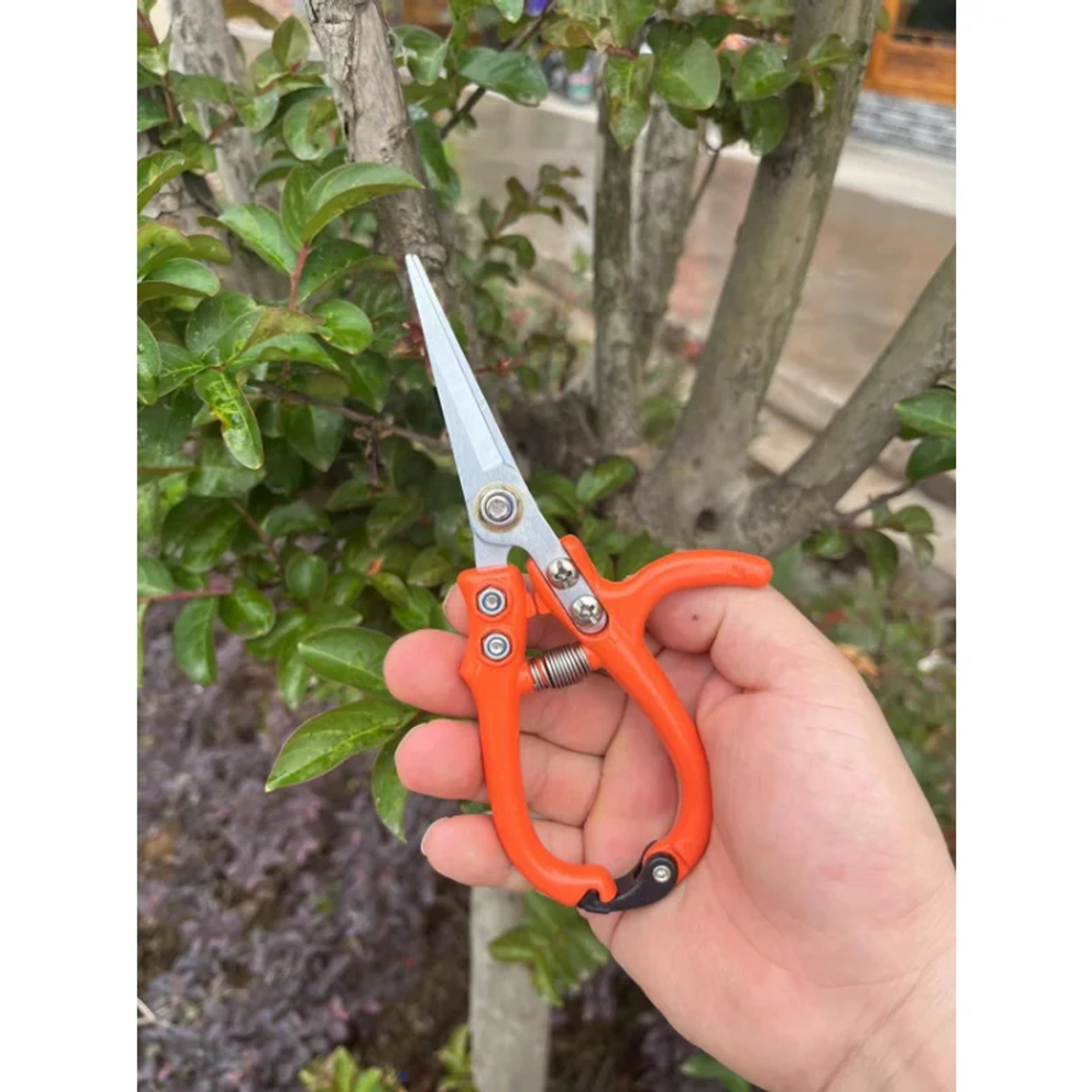 Premium Garden Pruning Shears Stainless Steel Pruning Scissors With Safety Lock 0