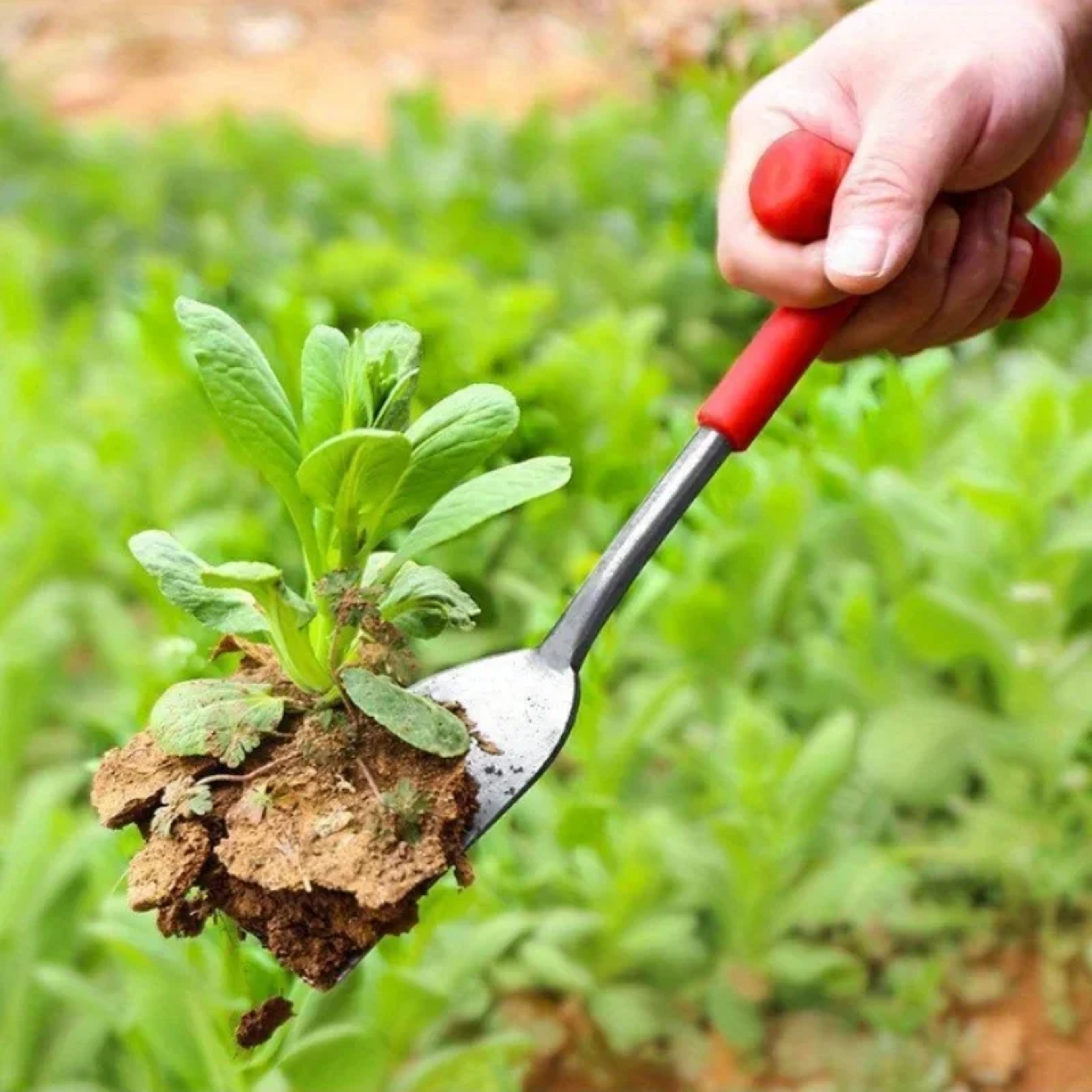 Garden Weeding Tool Hand Trowel For Digging Transplanting  Root Removal 0