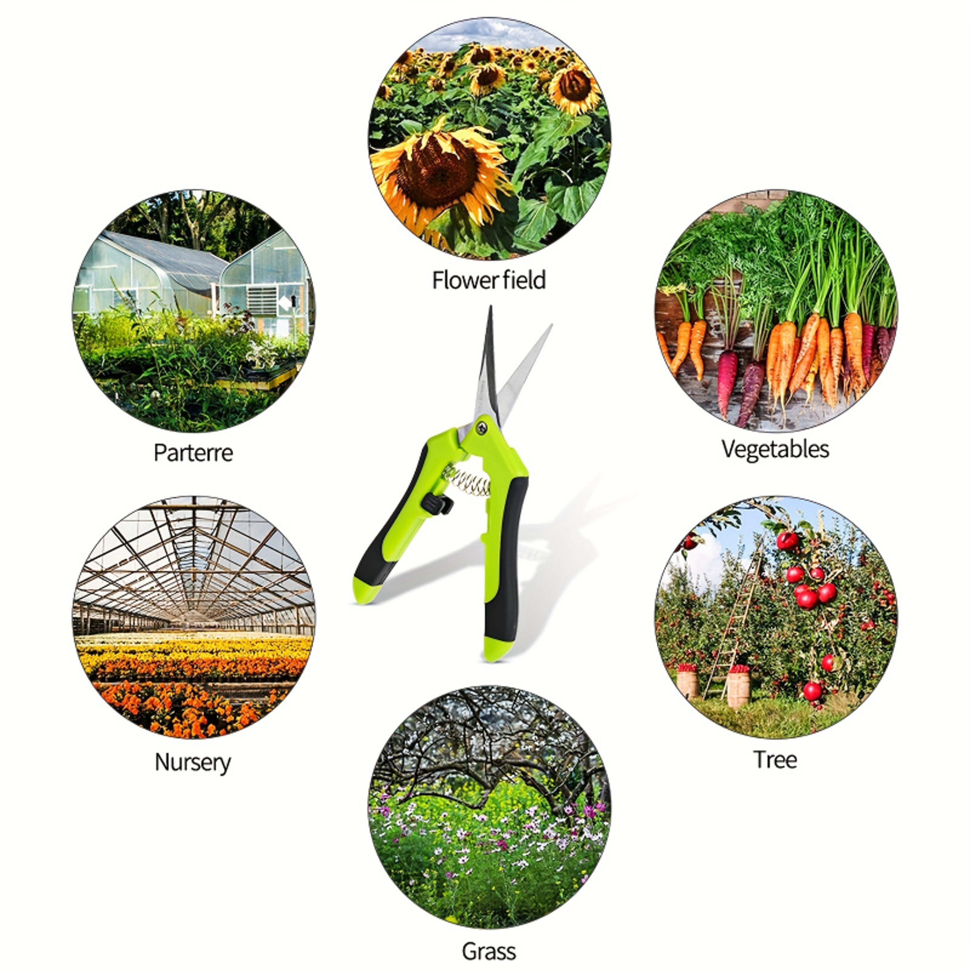 Precision Fruit Picking Scissors Stainless Steel Pruning Shears For Garden Orchard  Beekeeping 3