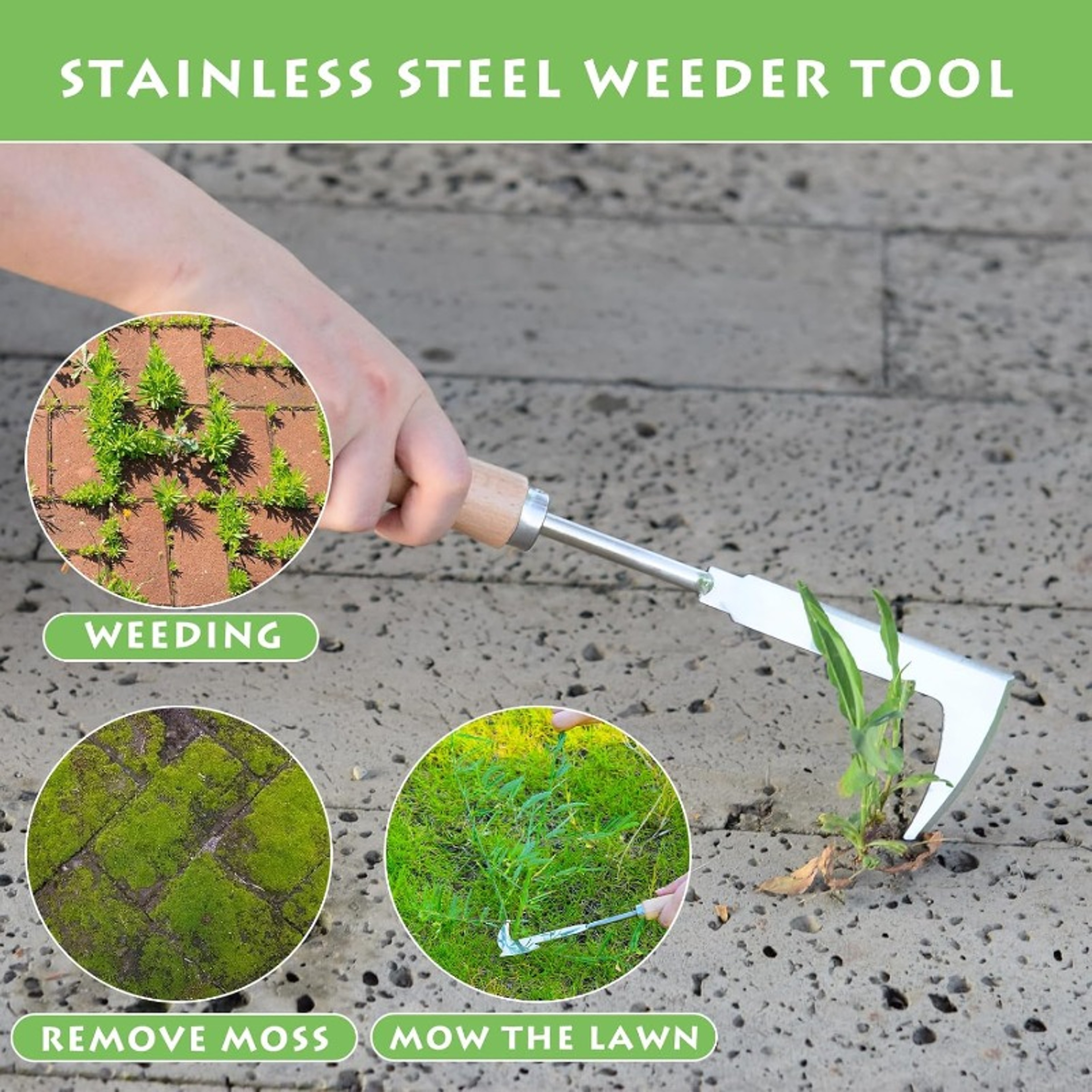 Precision Stainless Steel Crack Weeder Tool For Garden And Patio Weed Removal 4
