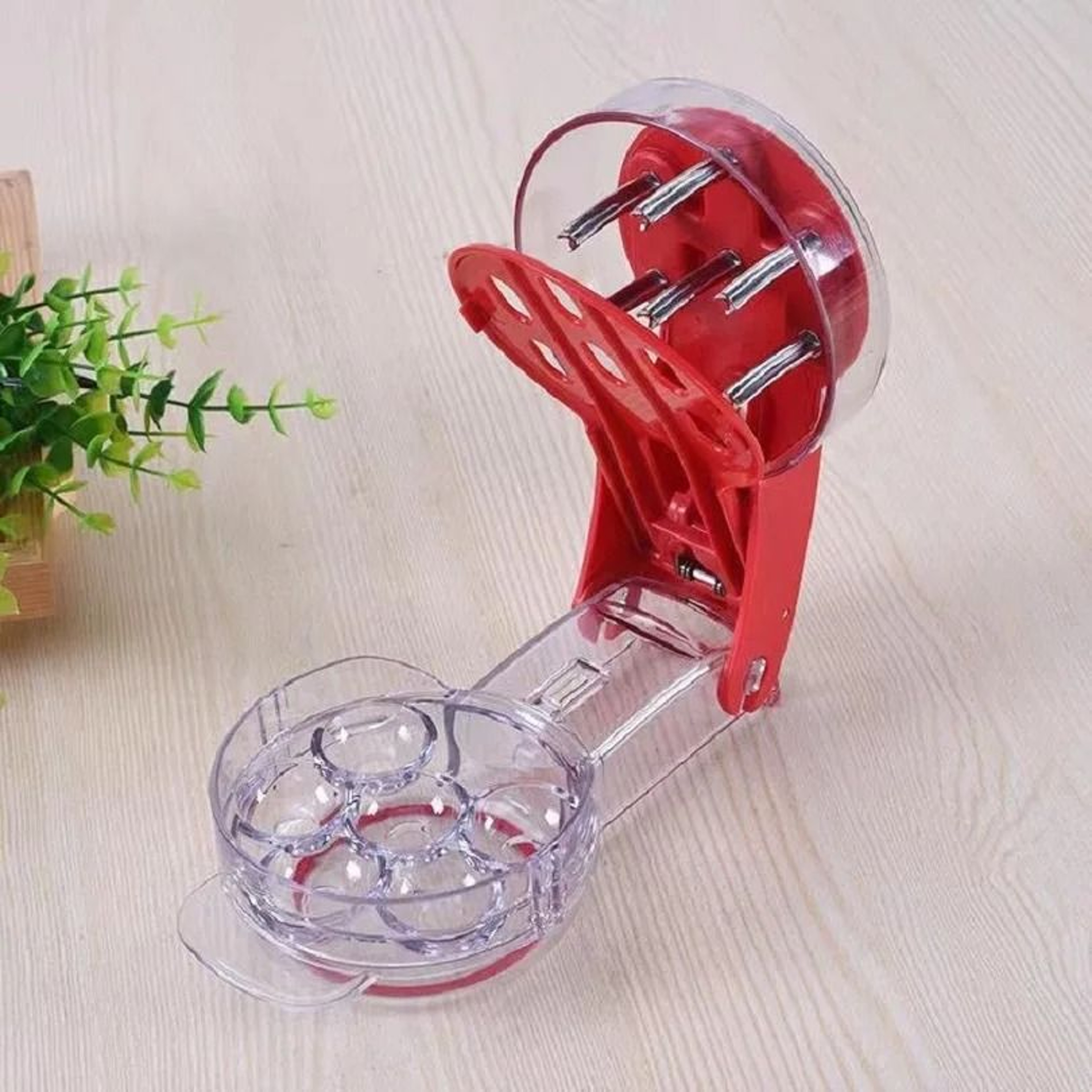 HighQuality Cherry Corer for Home Use