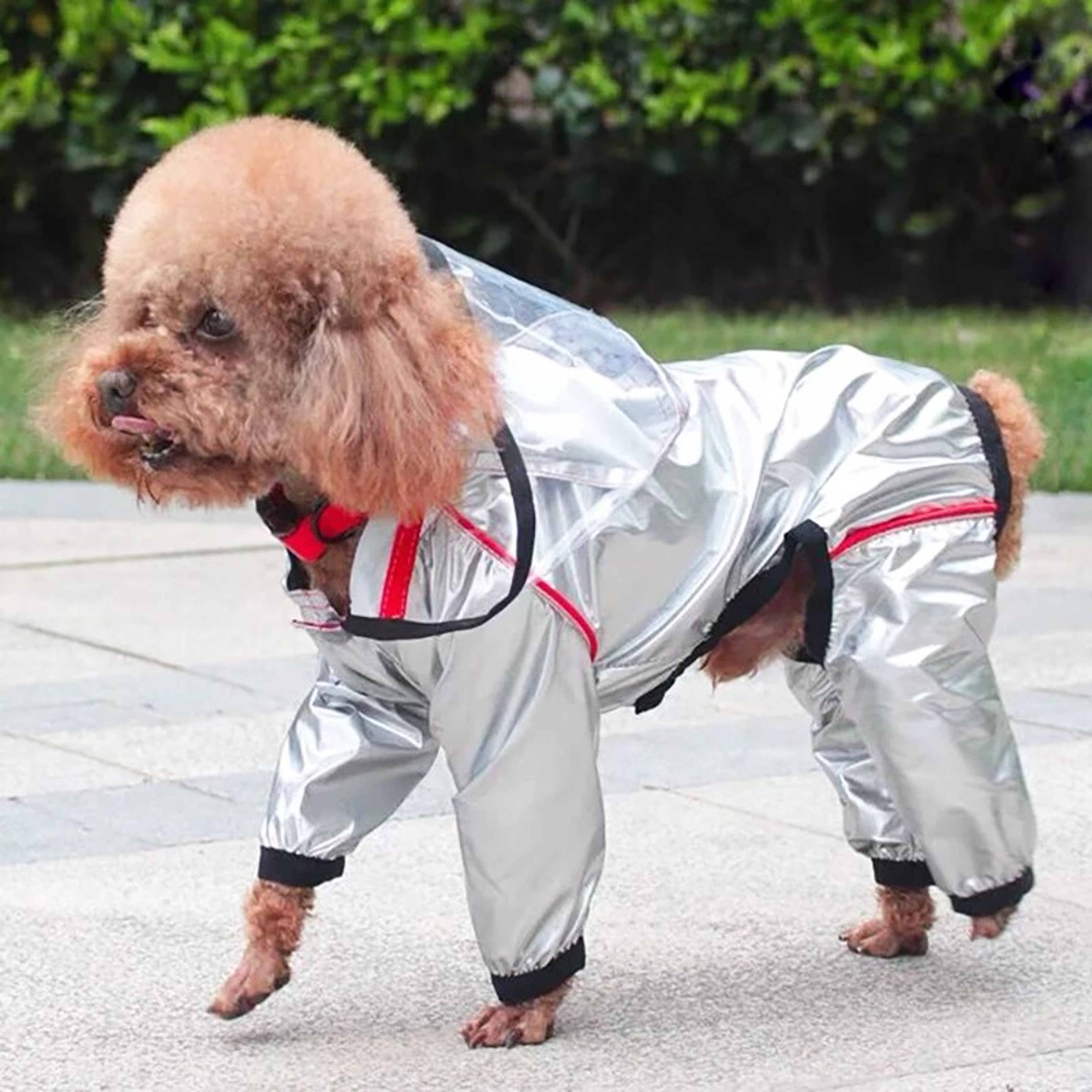 vgWwPet-Dog-Raincoat-Transparent-Hooded-Jumpsuit-Dogs-Waterproof-Coat-Water-Resistant-Clothes-for-Dogs-Cats-Pet.jpg