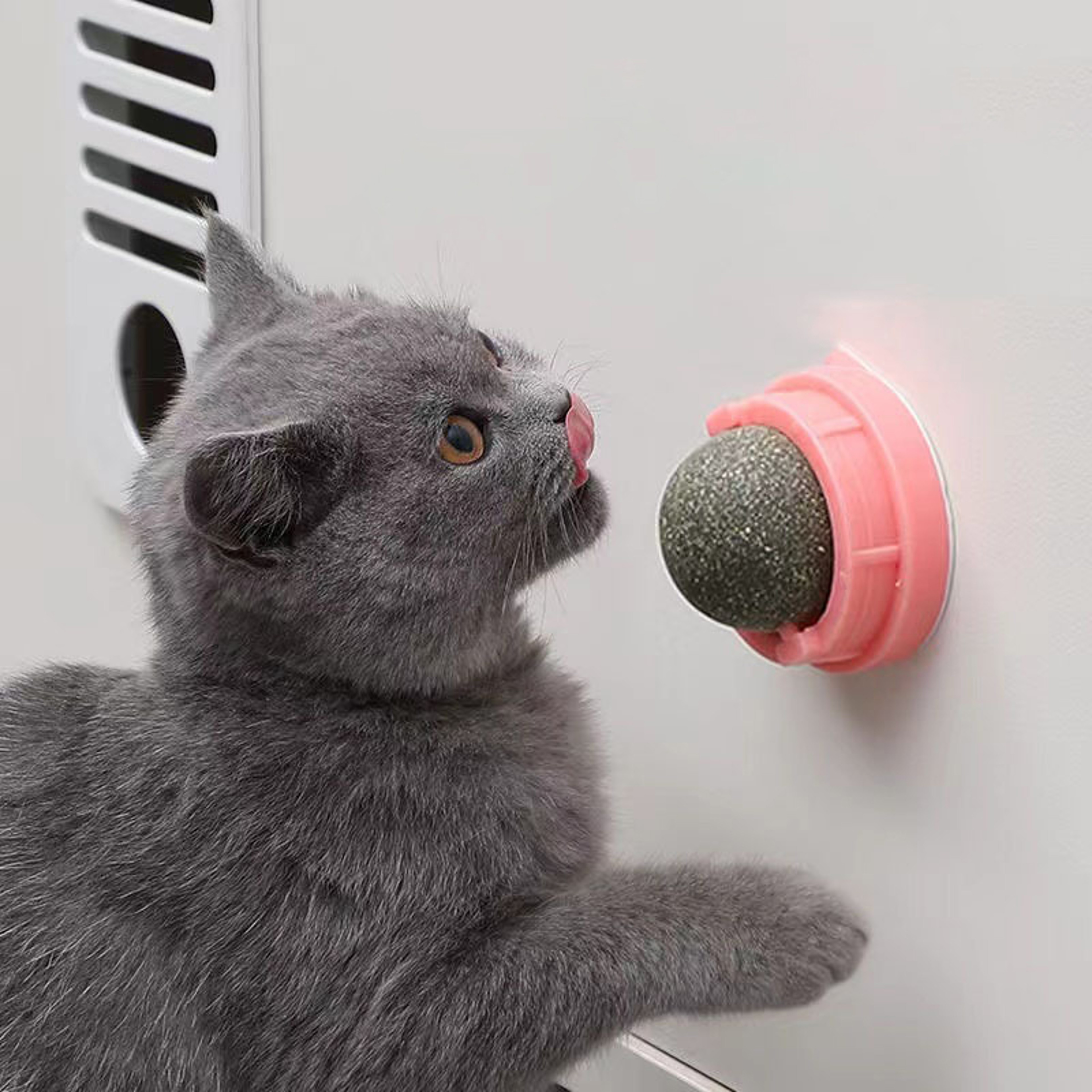 ZJFACatnip-Wall-Ball-Cats-Toys-Rotatable-Licking-Natural-Catnip-Toy-Teeth-Cleaning-Freshen-Breath-Remove-Hair.jpg