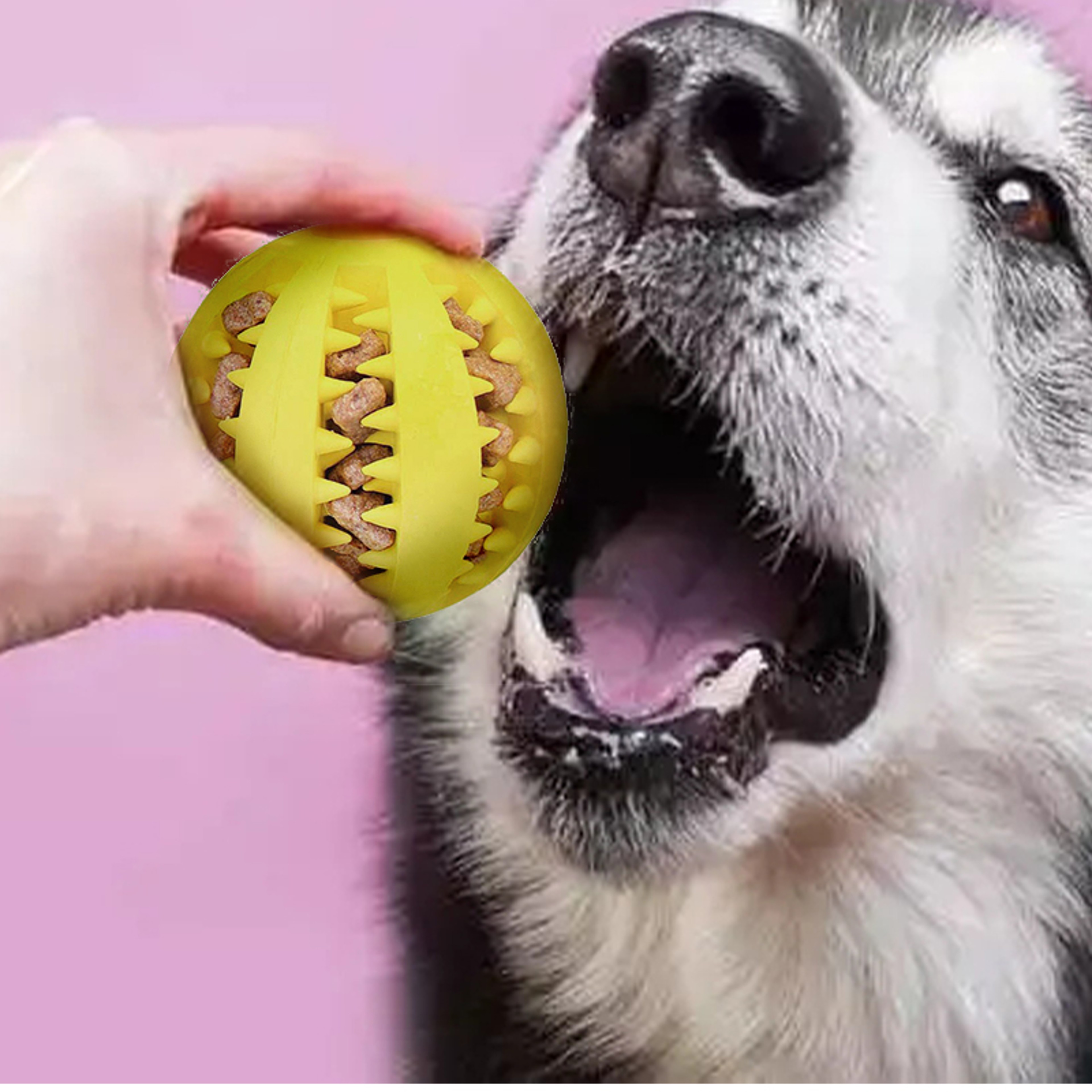 jyK7Rubber-Tooth-Cleaning-Snack-Ball-For-Dogs-Indestructible-Dog-Toy-For-Large-Dogs-Soft-Pet-Chew.jpg