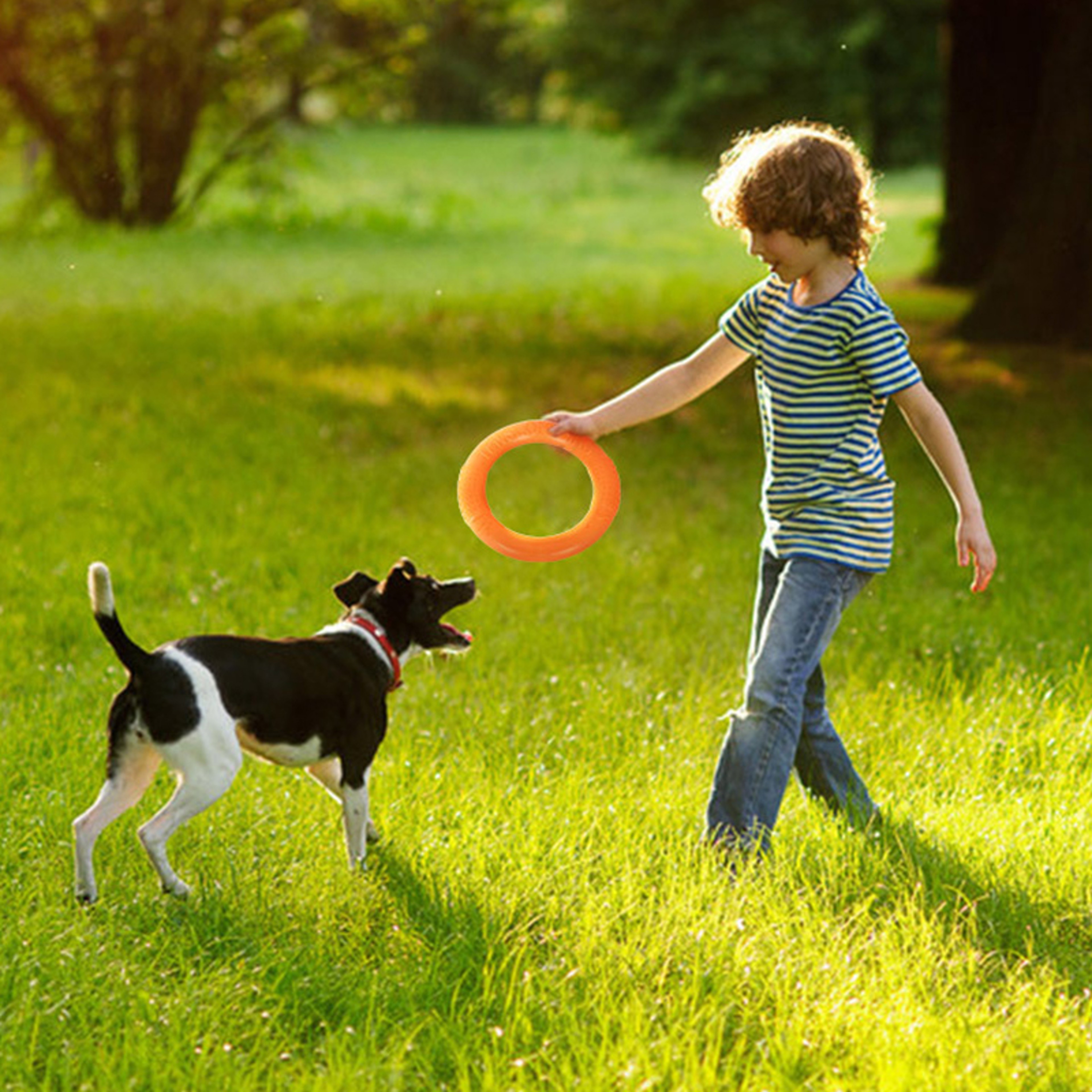 GCxb18-27CM-Dog-Toys-for-Large-Dogs-EVA-Interactive-Training-Ring-Puller-Resistant-for-Dogs-Pet.jpg