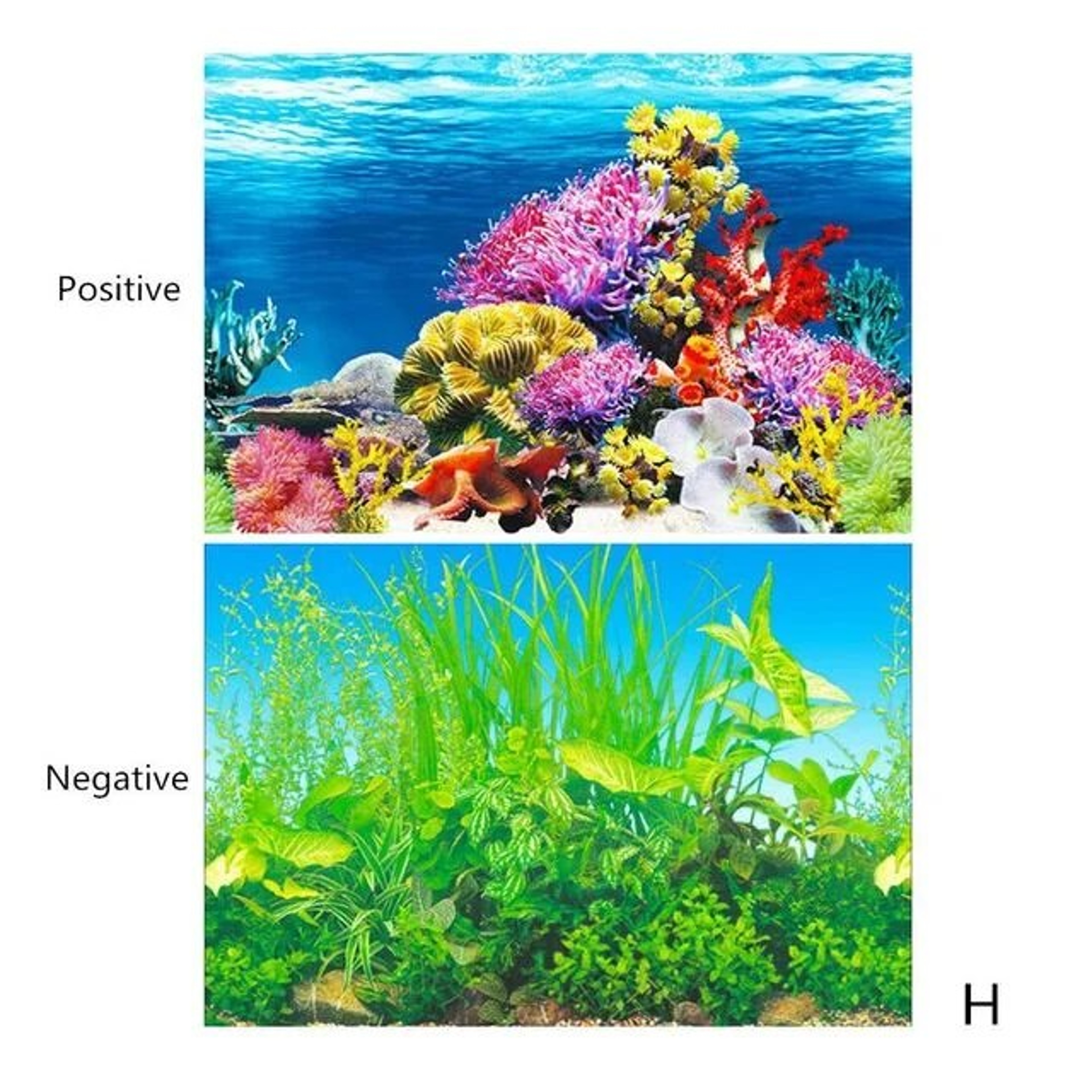 NY1NBackground-for-Aquarium-3d-Sticker-Poster-Fish-Tank-Aquarium-Background-accessories-Decoration-Ocean-Plant-Aquascape-Painting.jpg